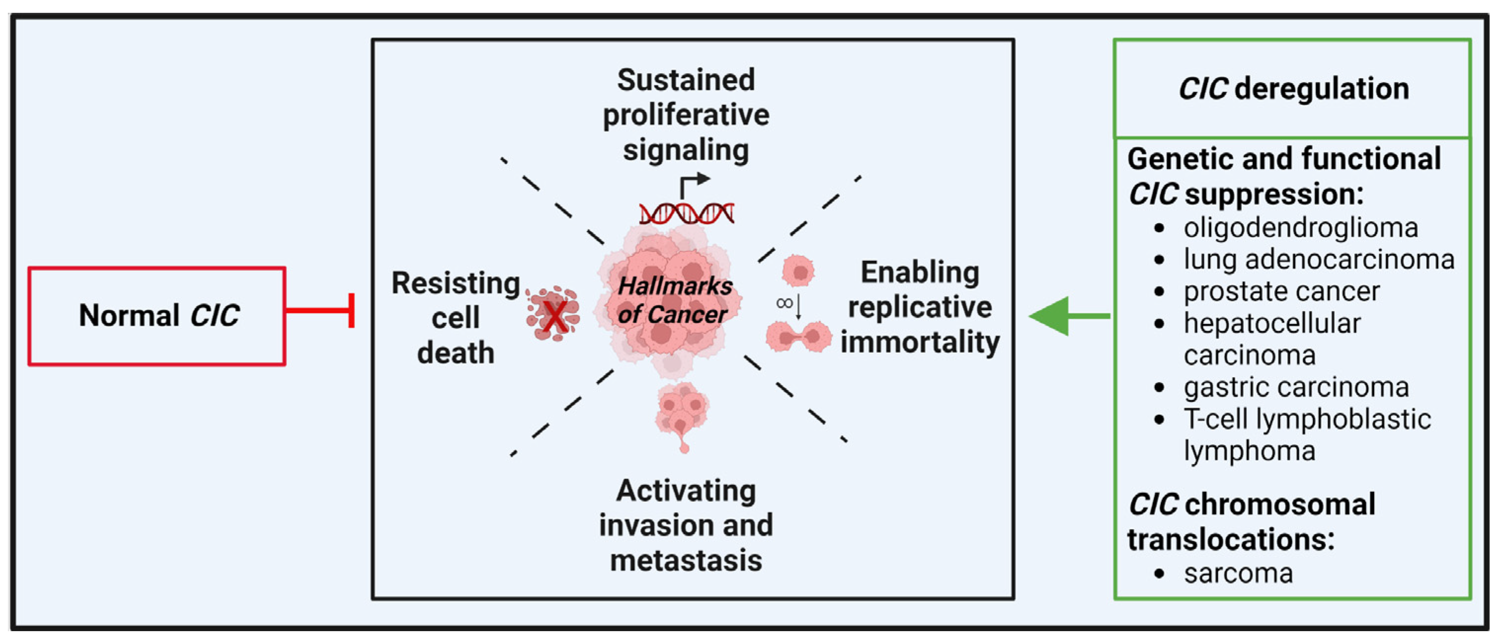Cancers 14 05411 g002