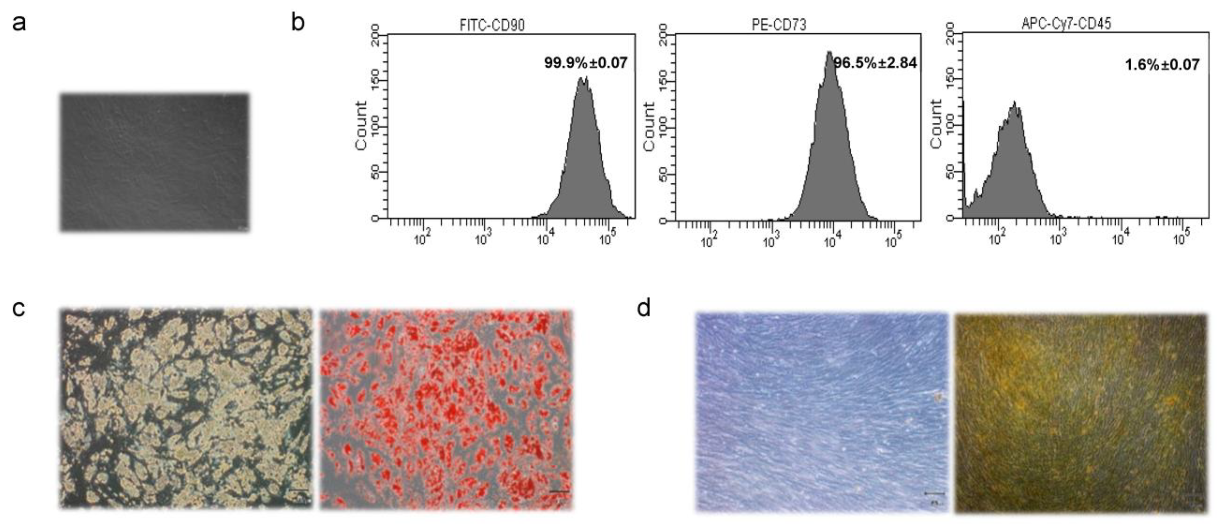 Cancers 14 05421 g001 Cancers 14 05421 g001