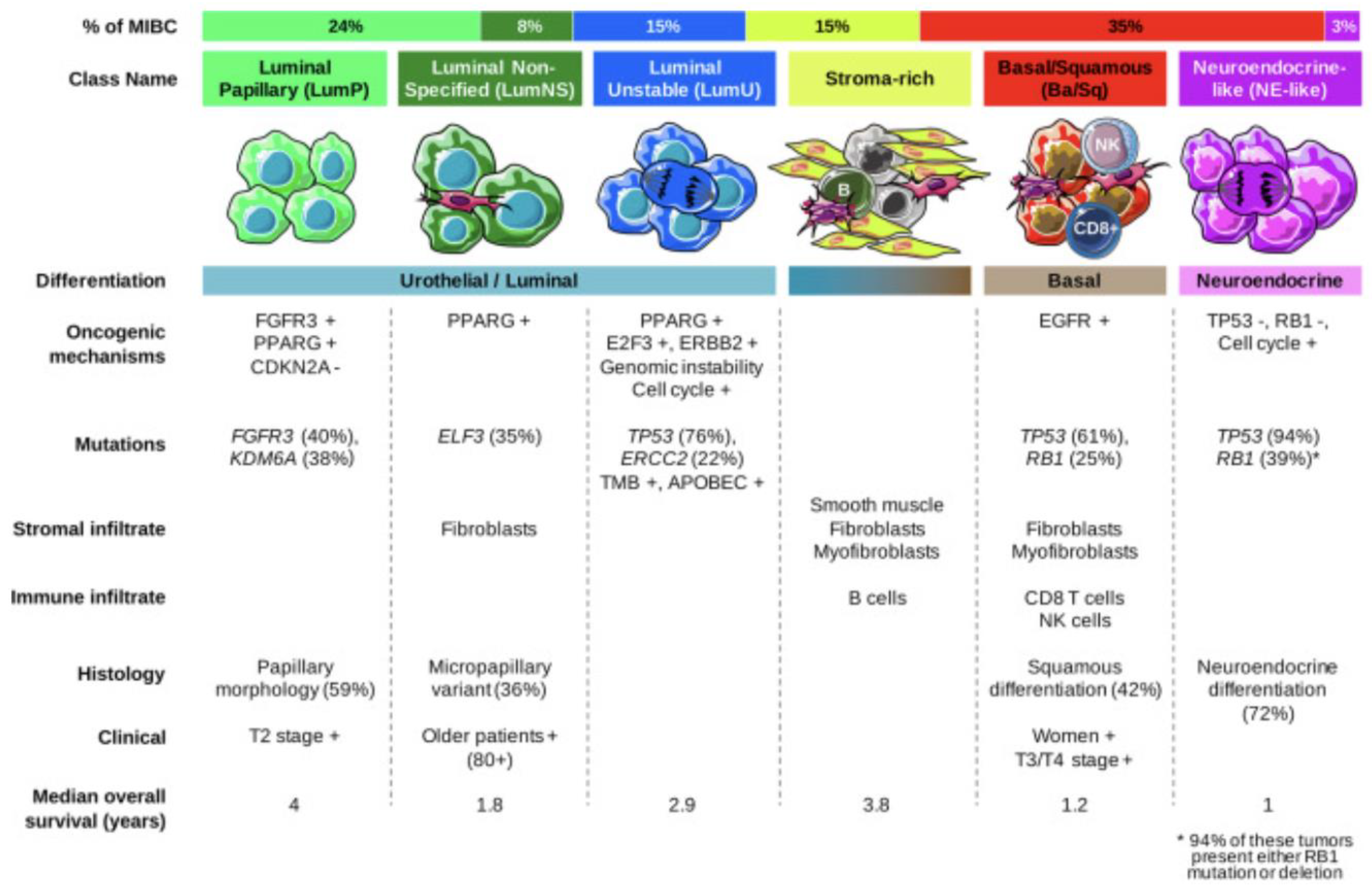 Cancers 14 05431 g002 Cancers 14 05431 g002