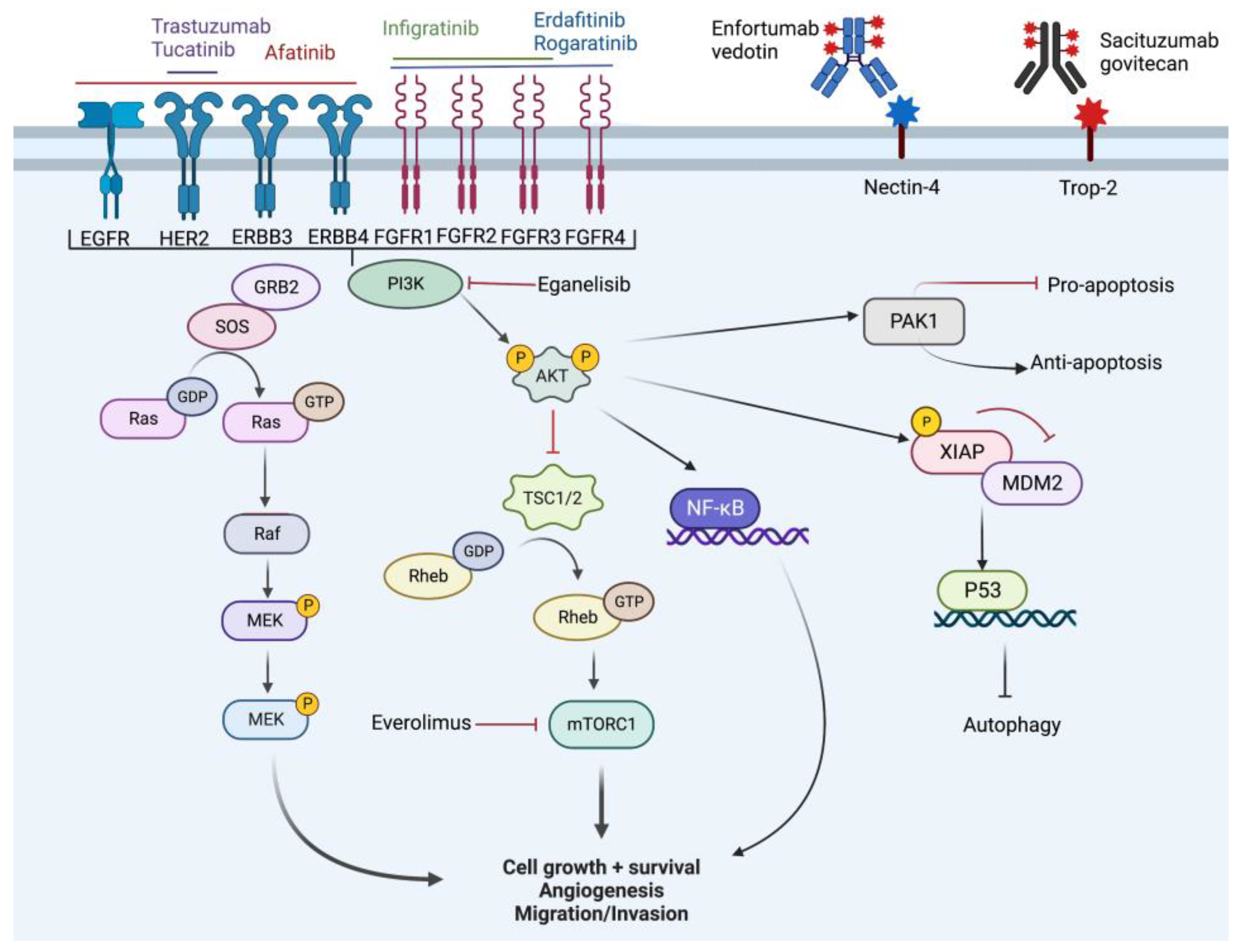Cancers 14 05431 g003 Cancers 14 05431 g003