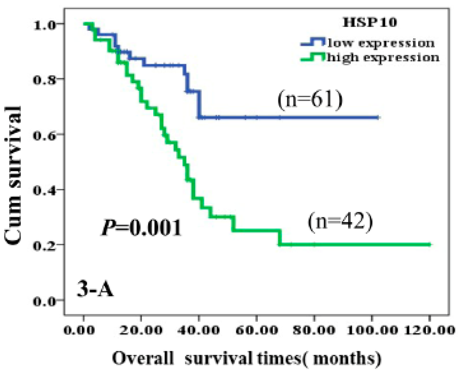 Cancers 14 05435 g004 Cancers 14 05435 g004