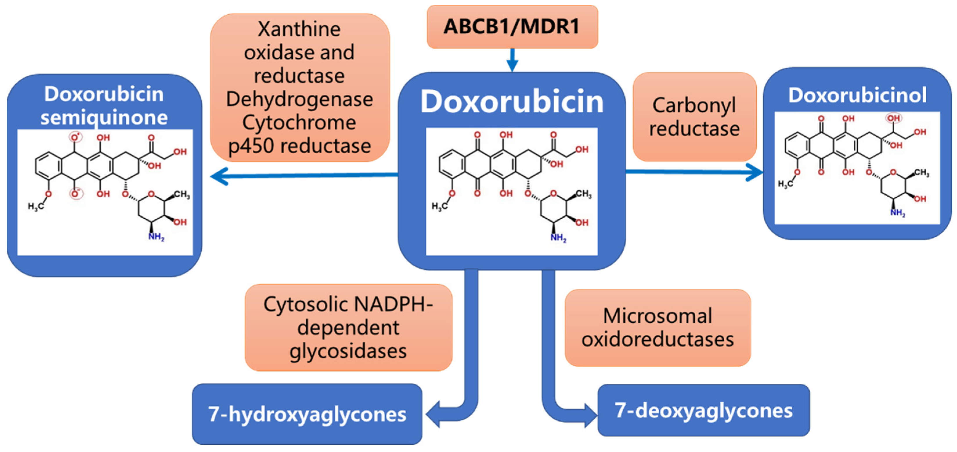 Cancers 14 05436 g001 Cancers 14 05436 g001