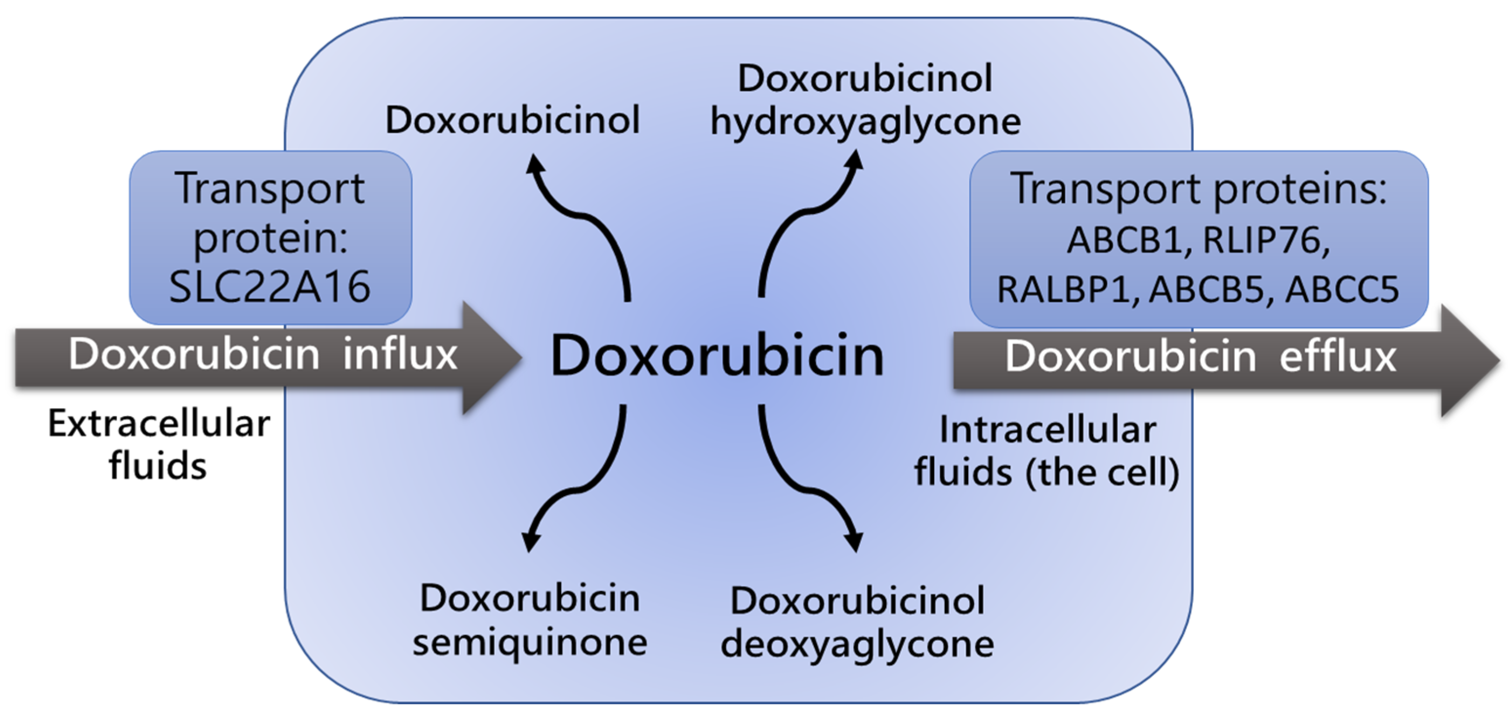 Cancers 14 05436 g002 Cancers 14 05436 g002