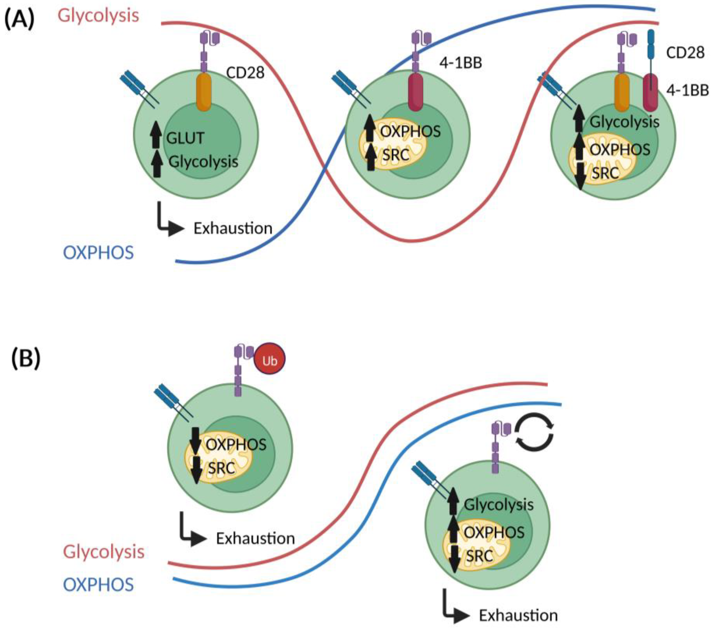 Cancers 14 05442 g004 Cancers 14 05442 g004