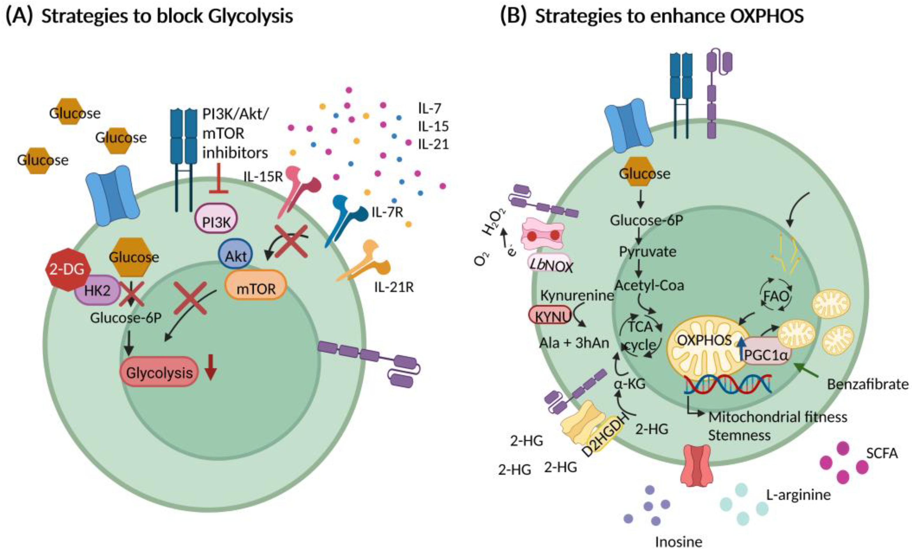 Cancers 14 05442 g005 Cancers 14 05442 g005