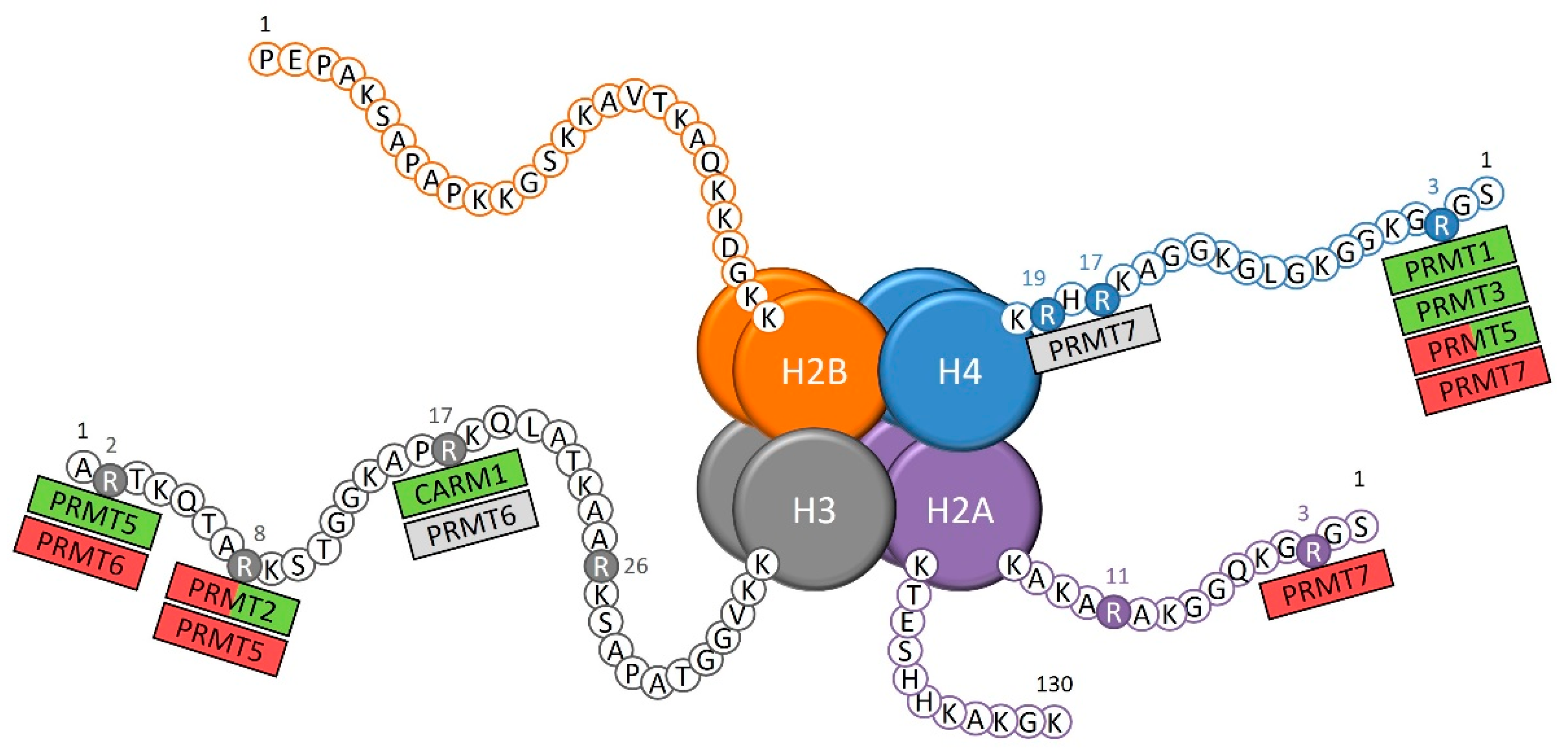 Cancers 14 05443 g001