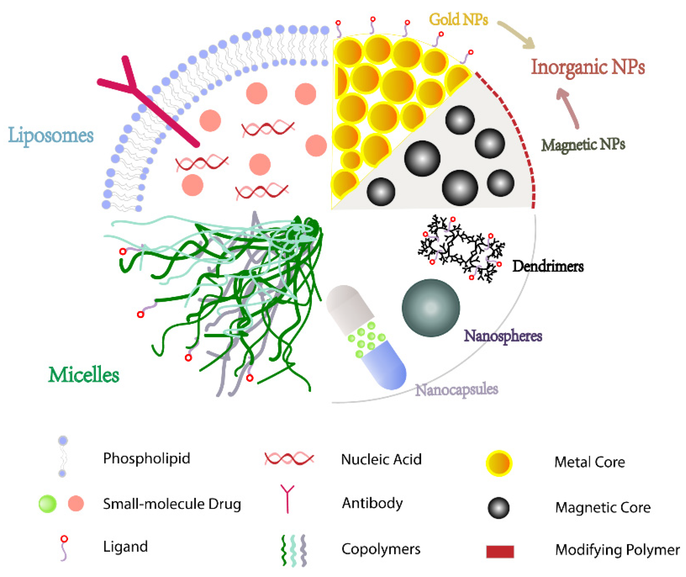 Cancers 14 05456 g002