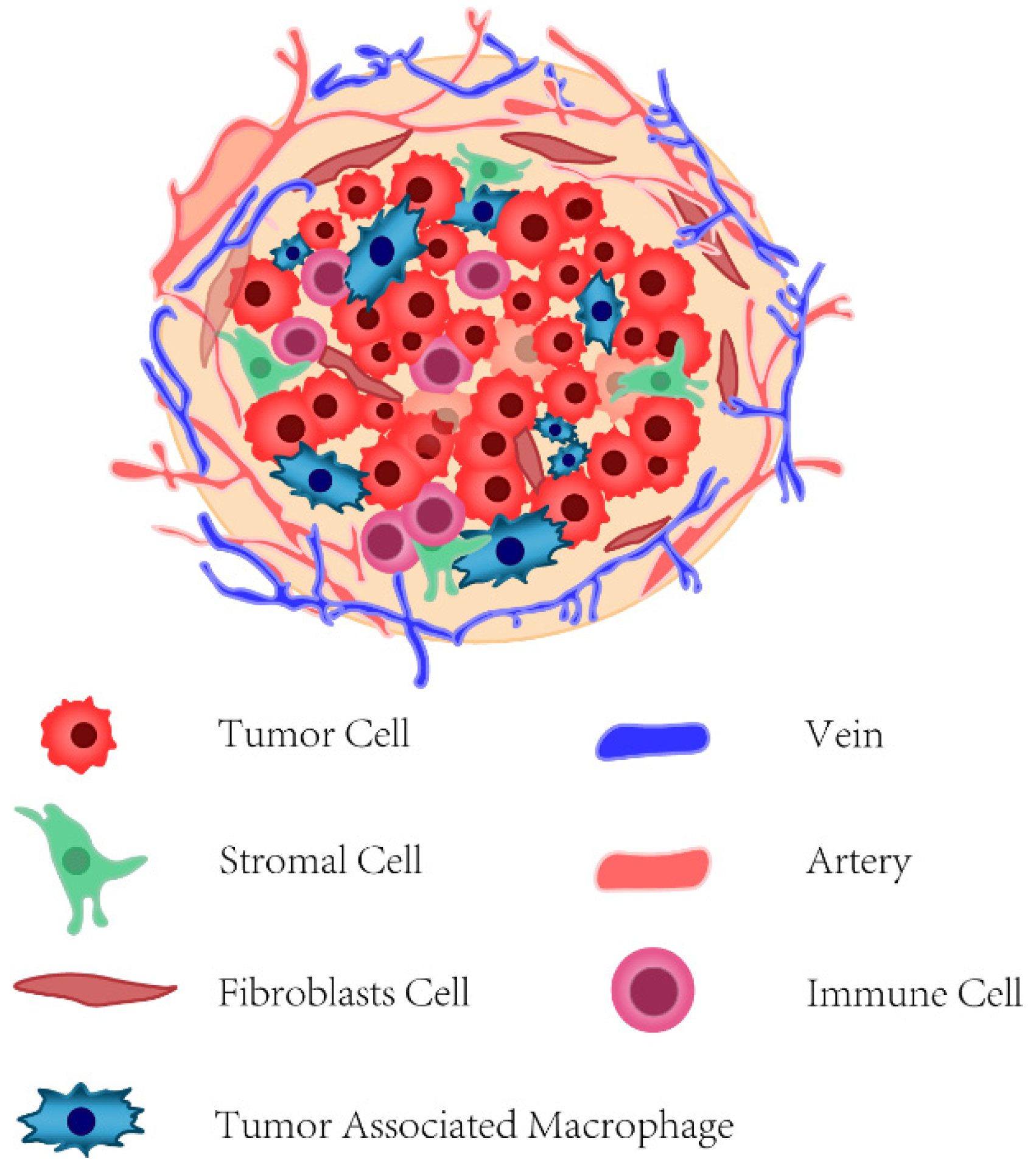 Cancers Free FullText Targeted Therapy and Immunotherapy for