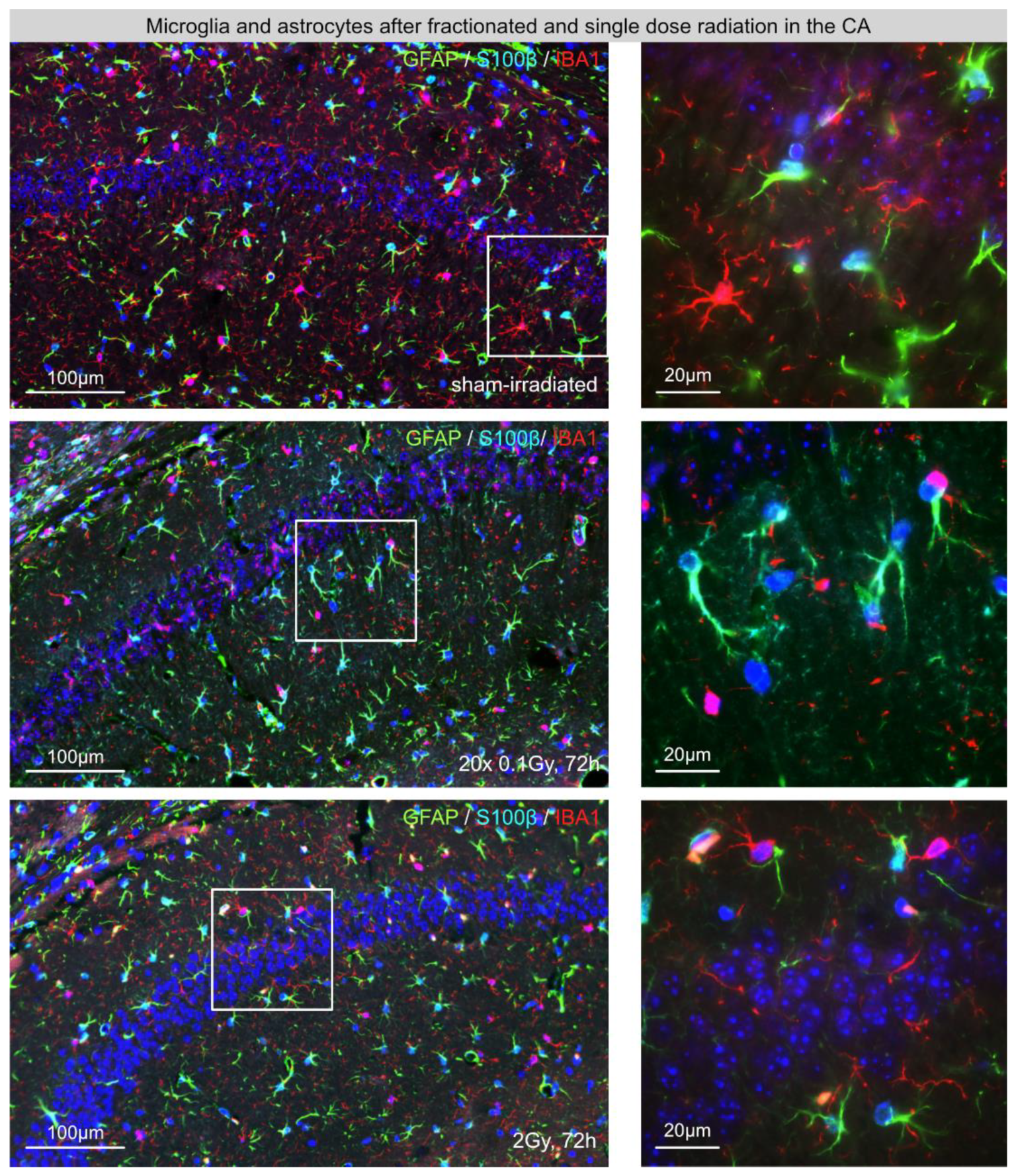 Cancers 14 05477 g001 Cancers 14 05477 g001