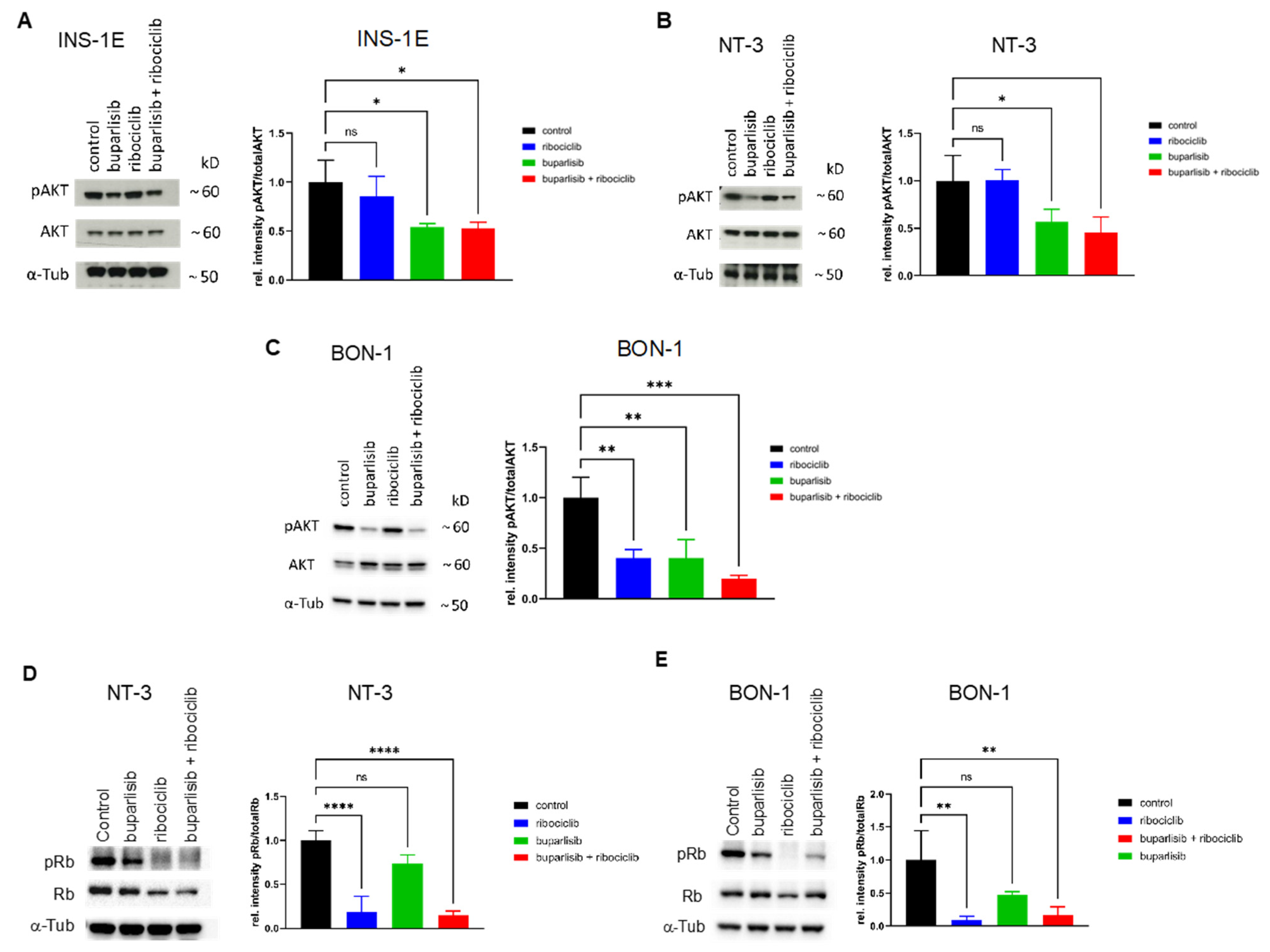Cancers 14 05481 g003 Cancers 14 05481 g003