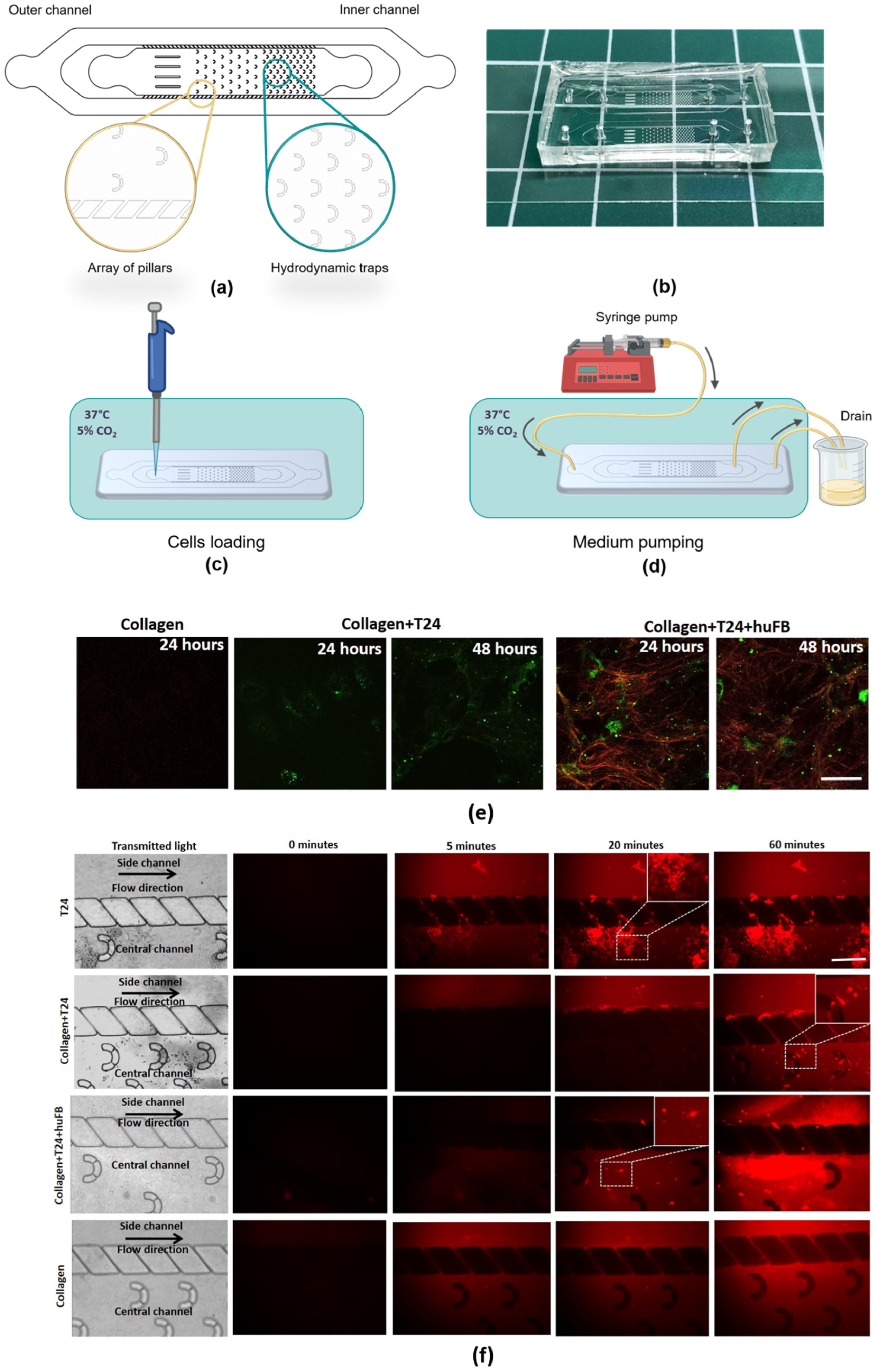 Cancers 14 05487 g001 Cancers 14 05487 g001