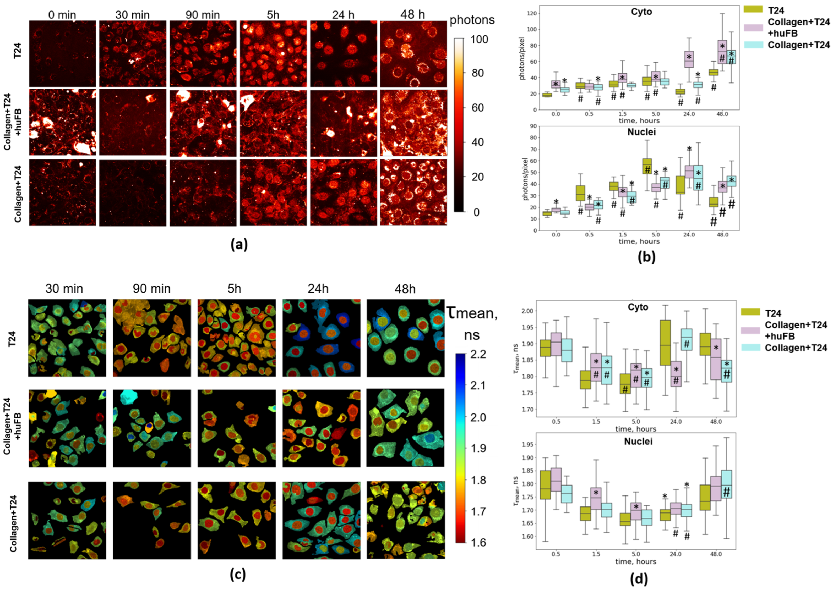 Cancers 14 05487 g003 Cancers 14 05487 g003