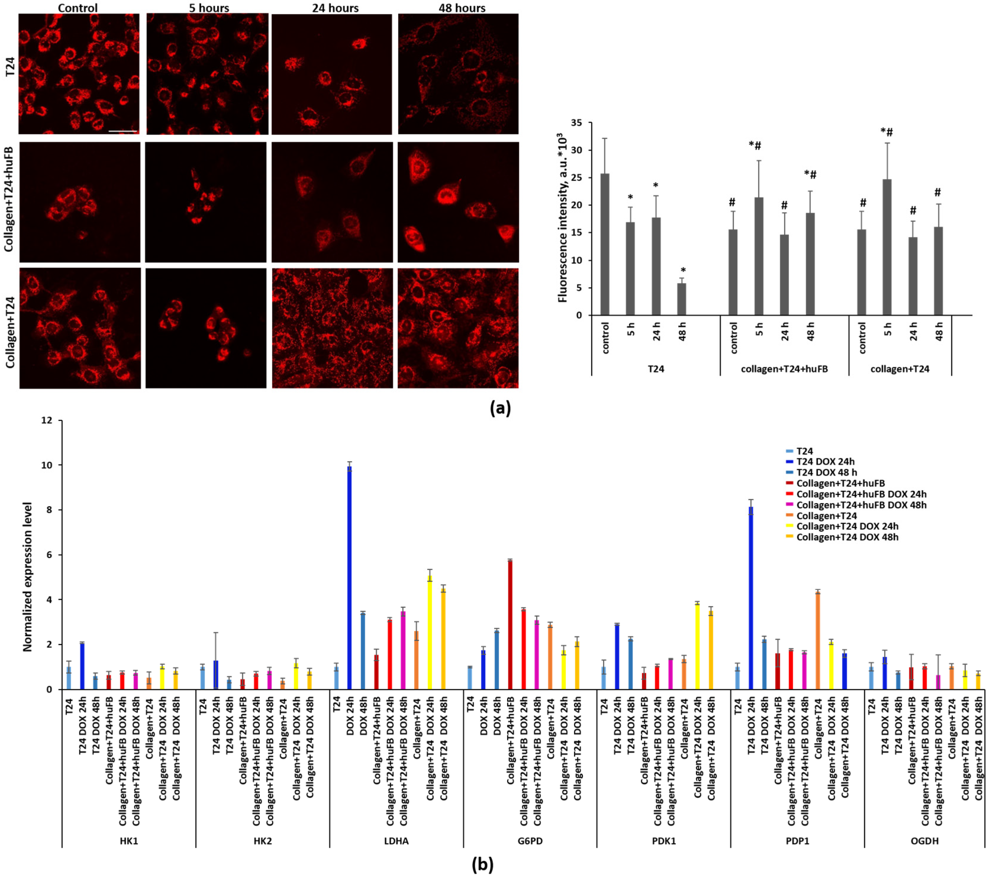 Cancers 14 05487 g005 Cancers 14 05487 g005