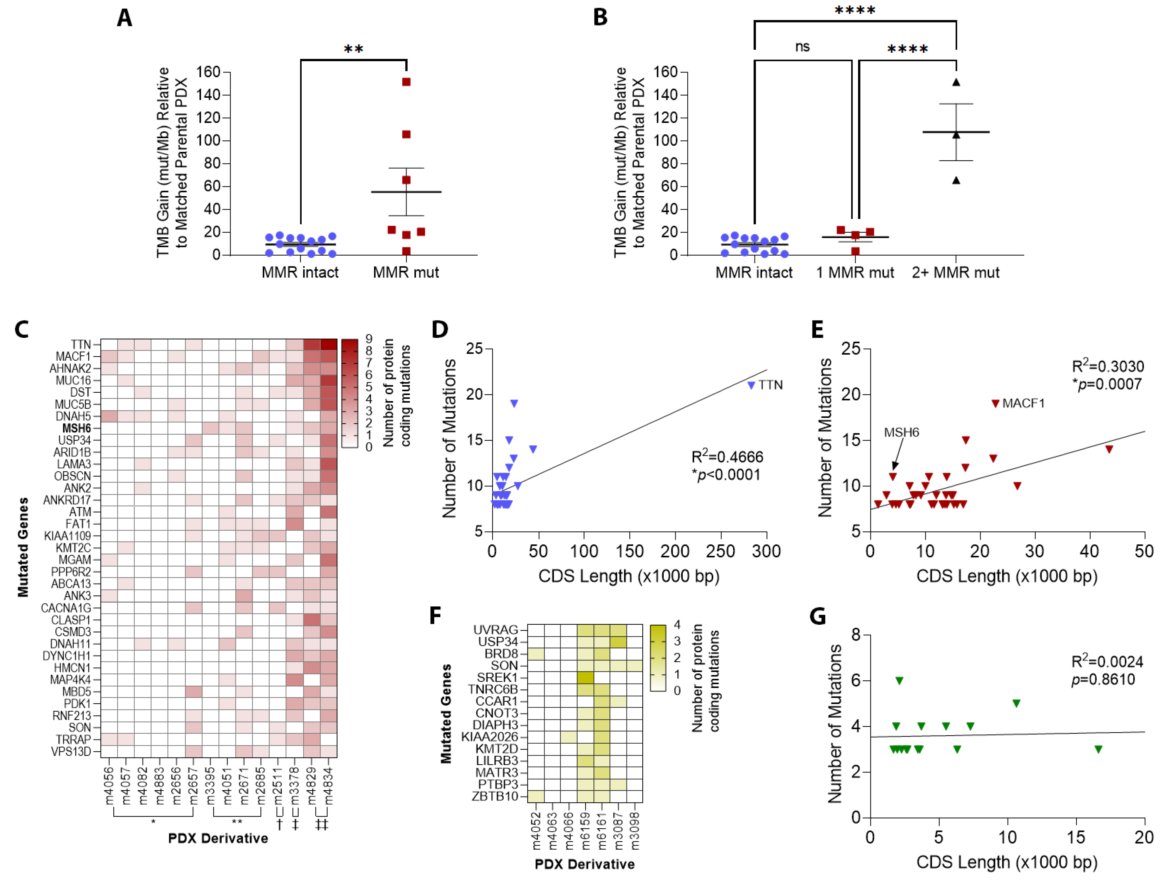 Cancers 14 05494 g004 Cancers 14 05494 g004
