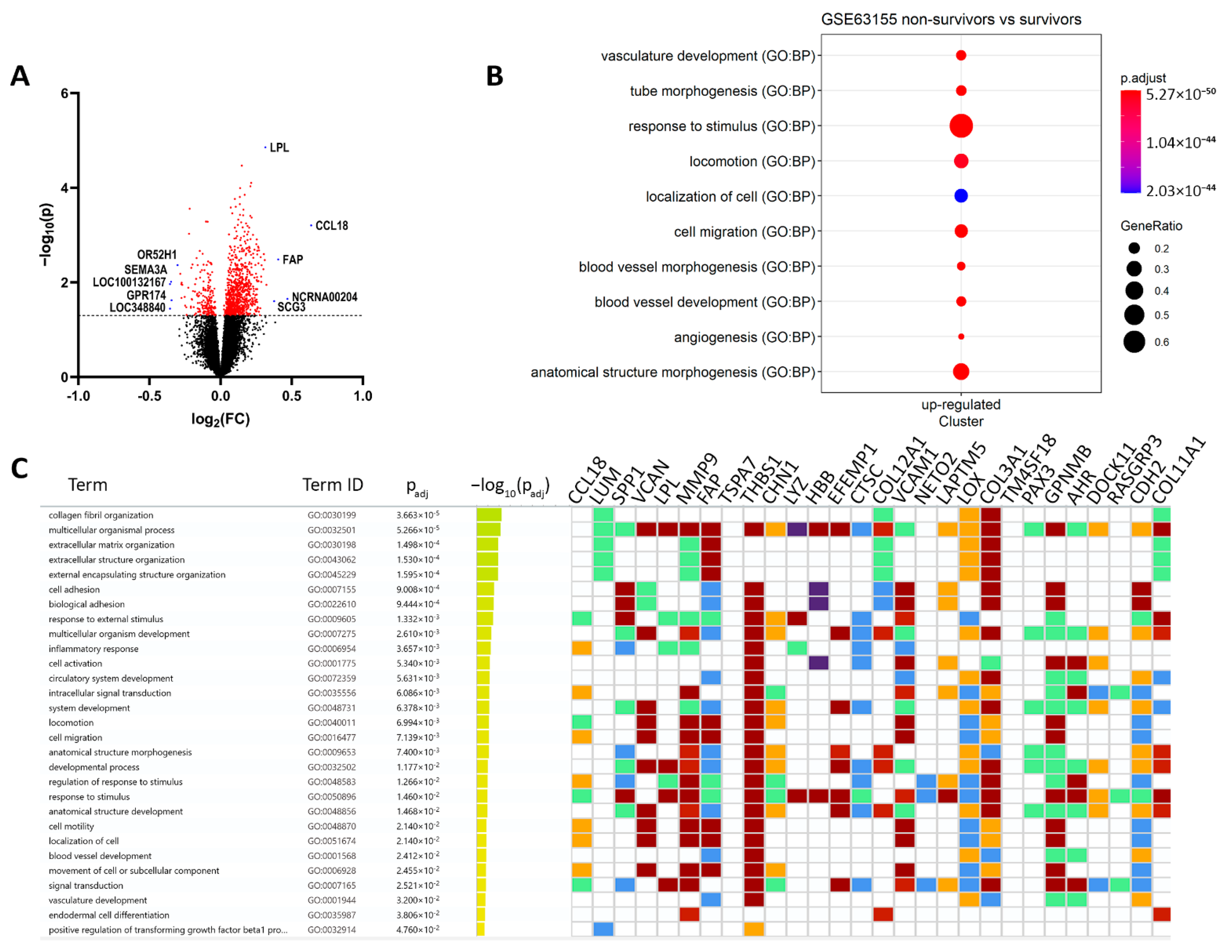 Cancers 14 05498 g001 Cancers 14 05498 g001