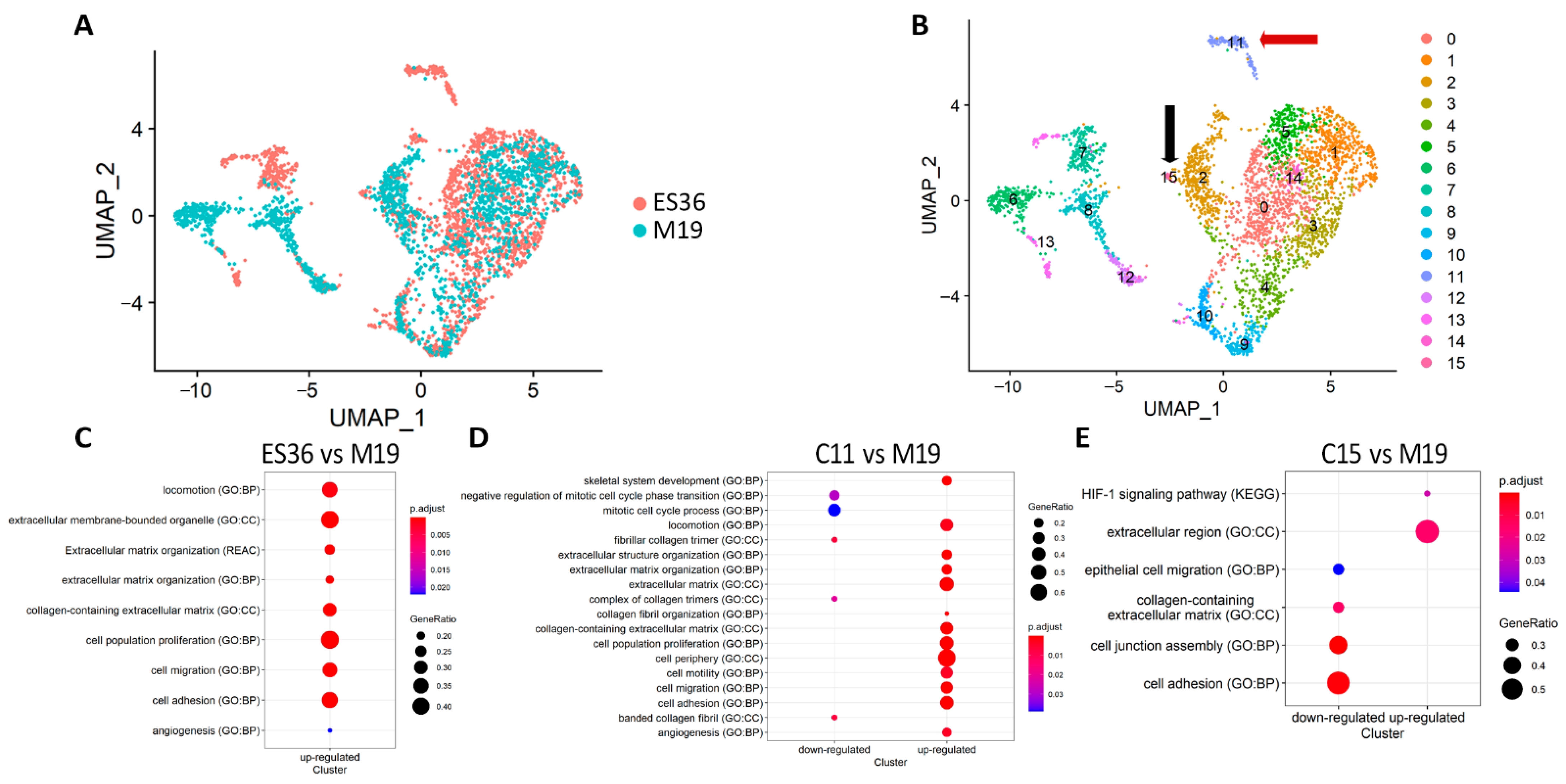 Cancers 14 05498 g003 Cancers 14 05498 g003