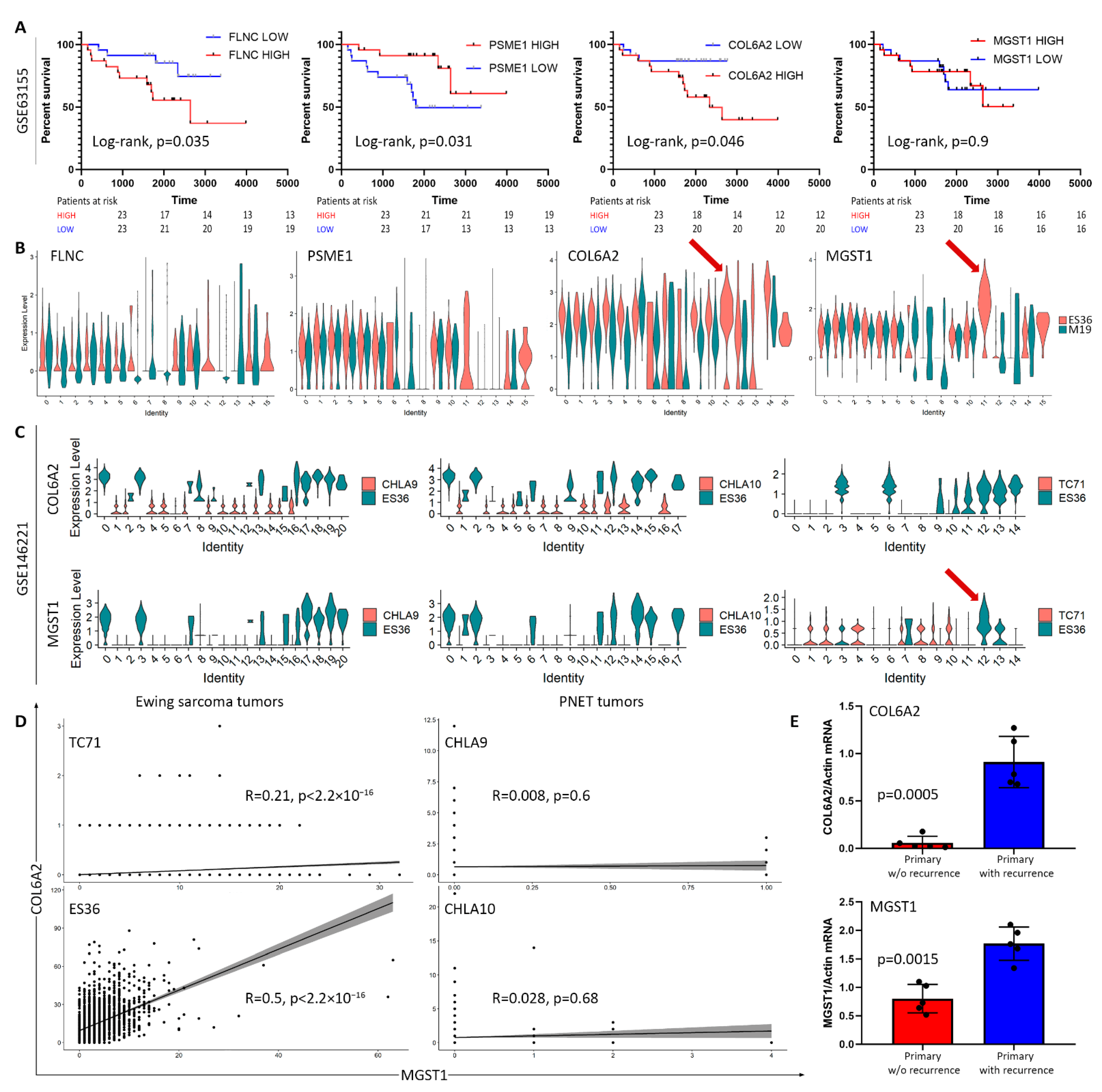 Cancers 14 05498 g005 Cancers 14 05498 g005