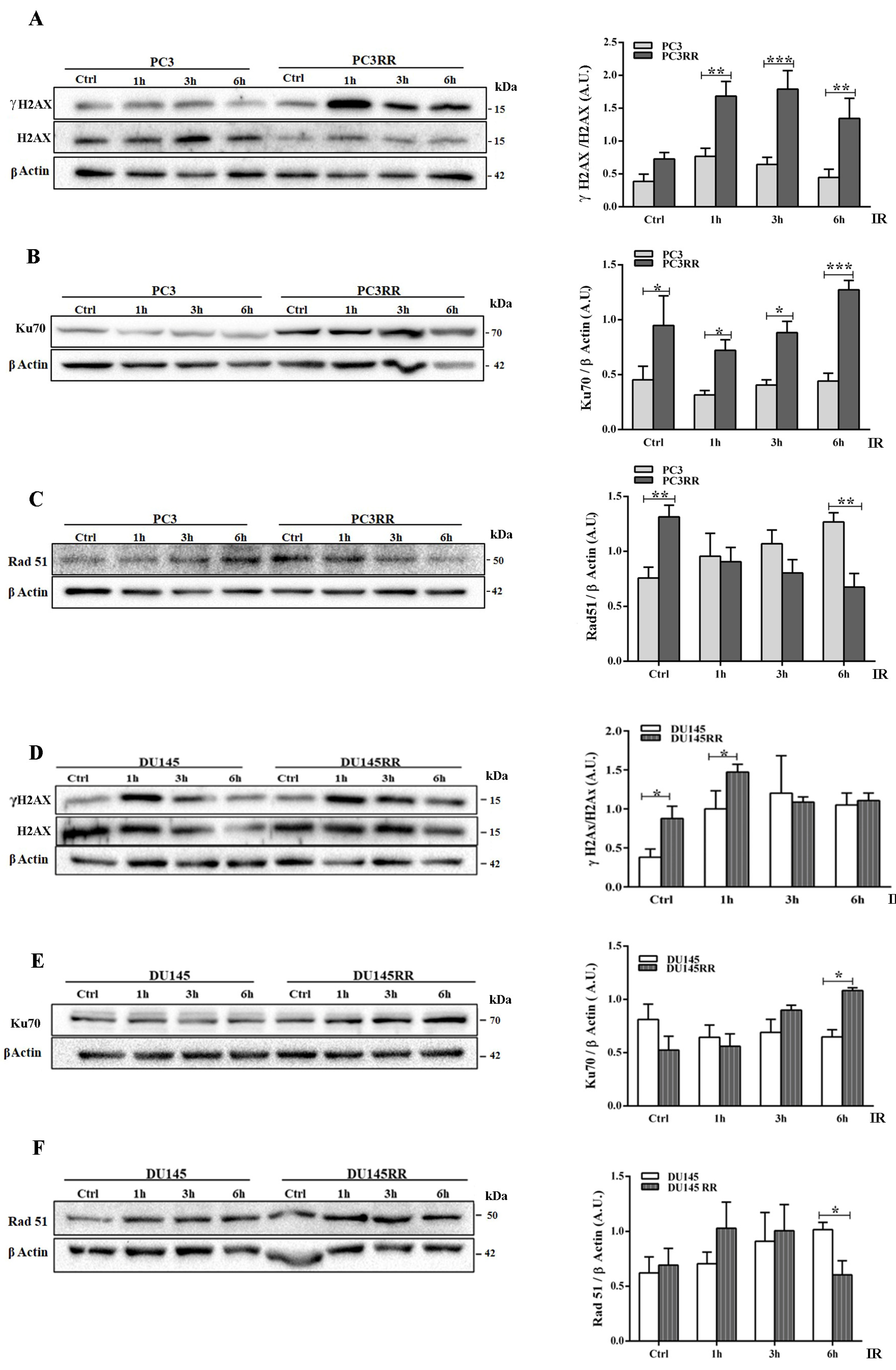 Cancers 14 05504 g003 Cancers 14 05504 g003
