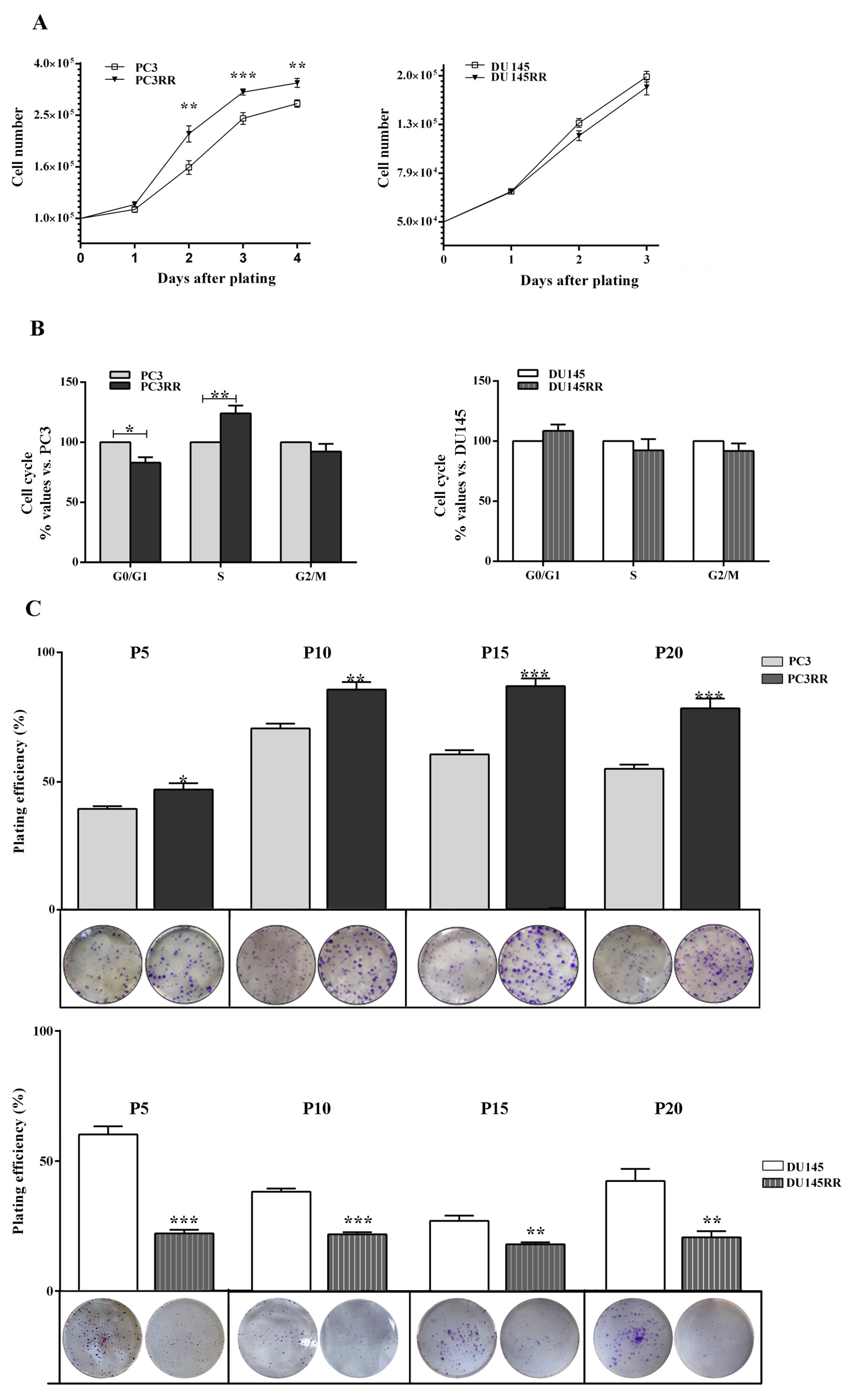Cancers 14 05504 g005 Cancers 14 05504 g005