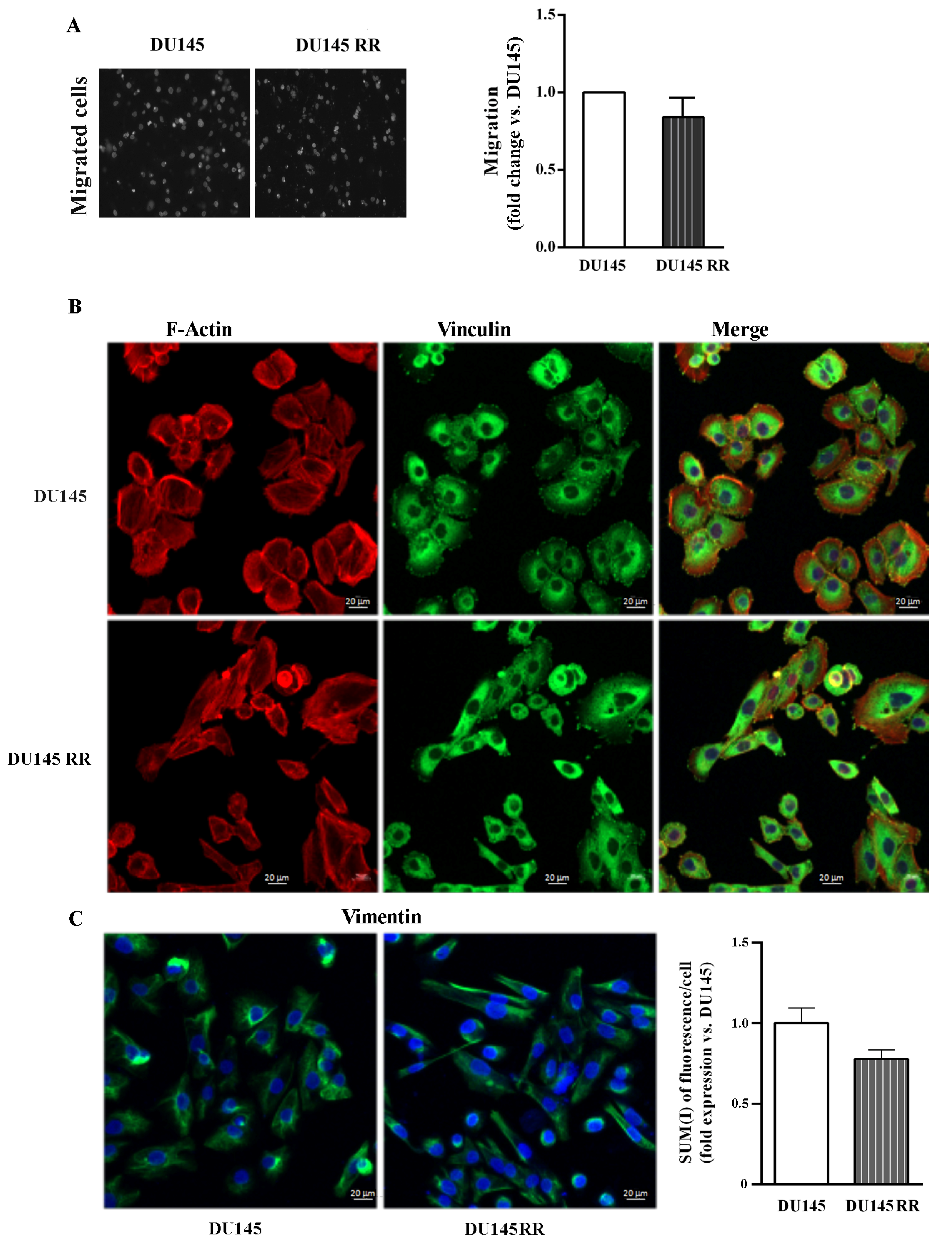 Cancers 14 05504 g007 Cancers 14 05504 g007
