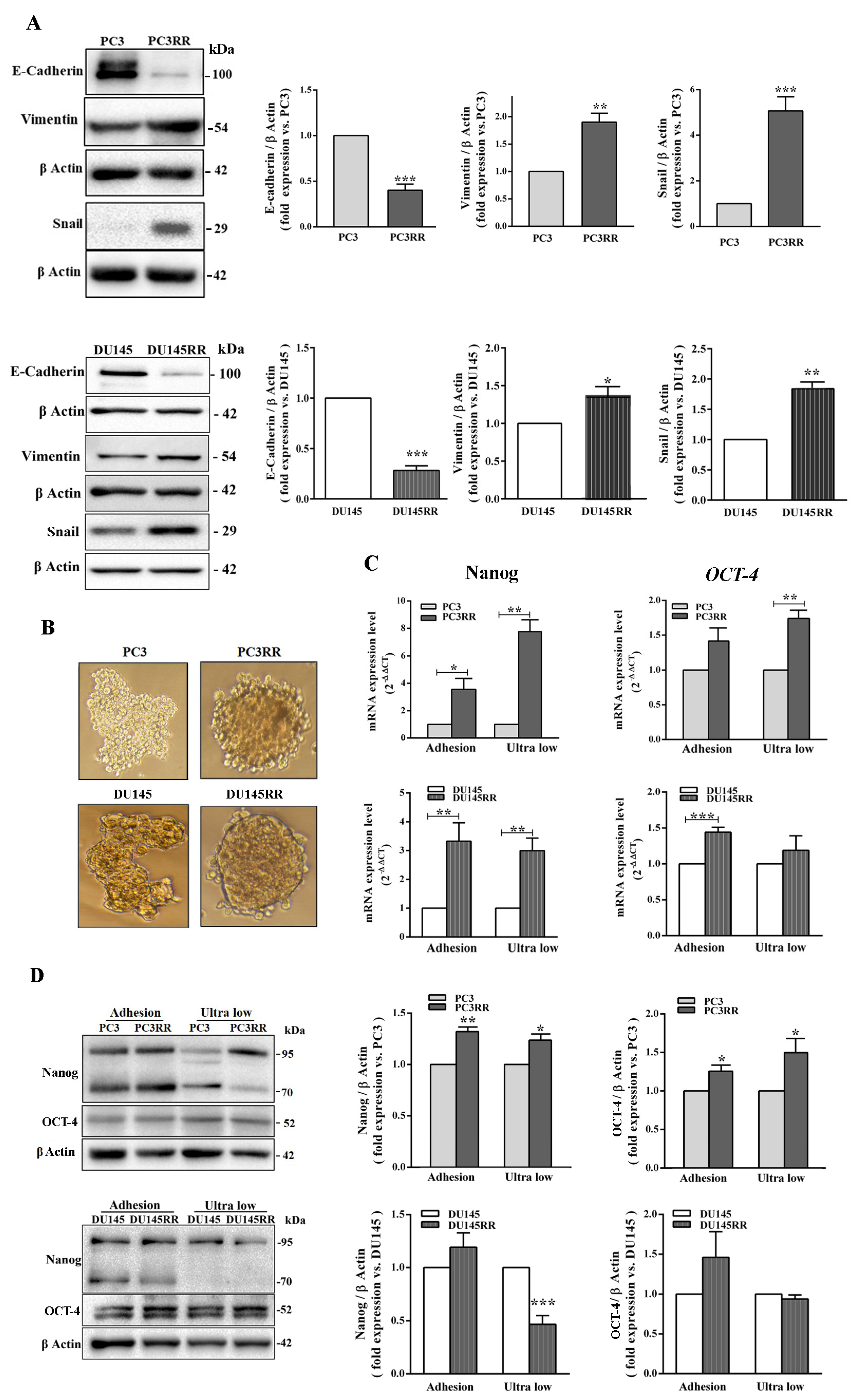 Cancers 14 05504 g008 Cancers 14 05504 g008