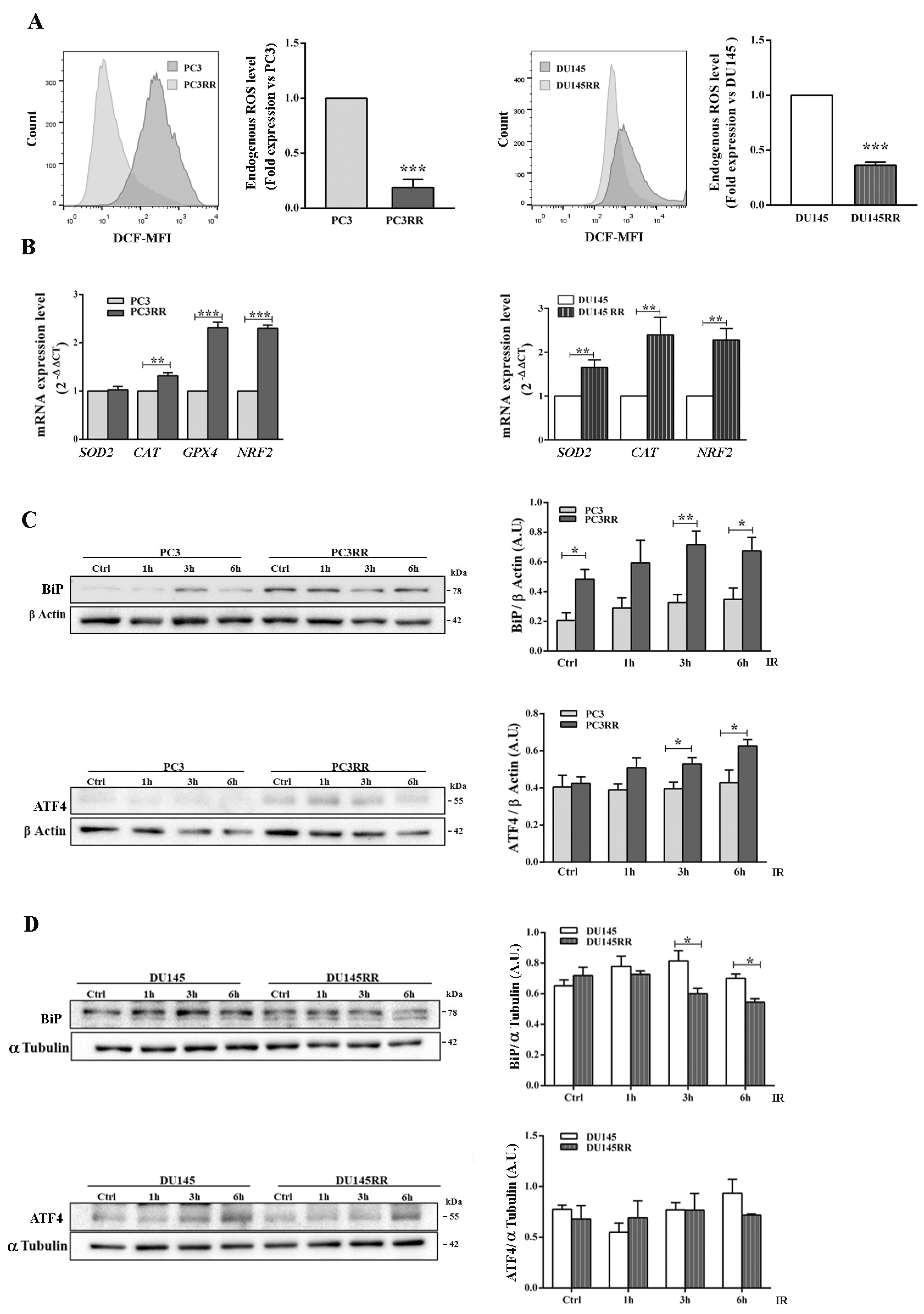 Cancers 14 05504 g009 Cancers 14 05504 g009