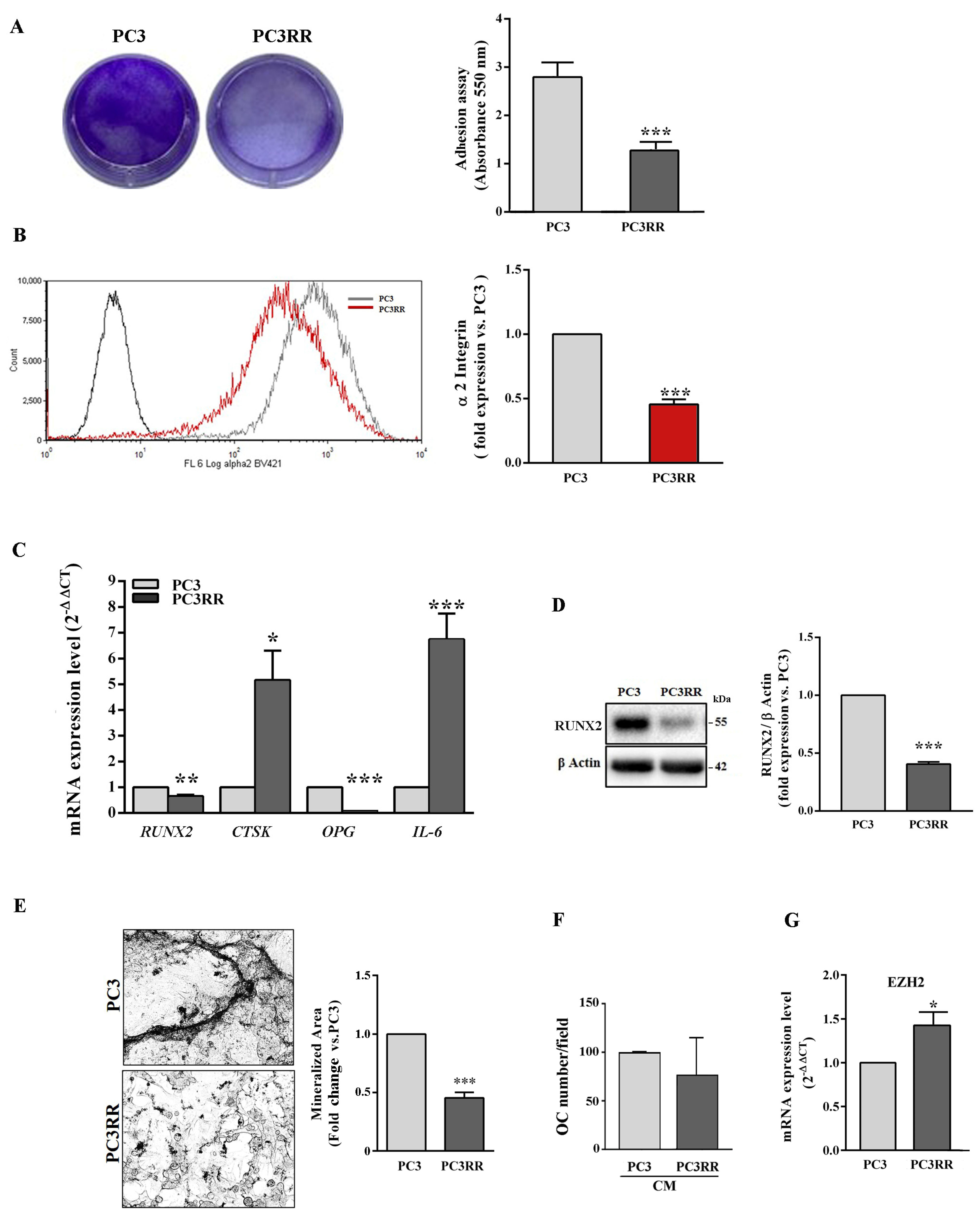 Cancers 14 05504 g010 Cancers 14 05504 g010