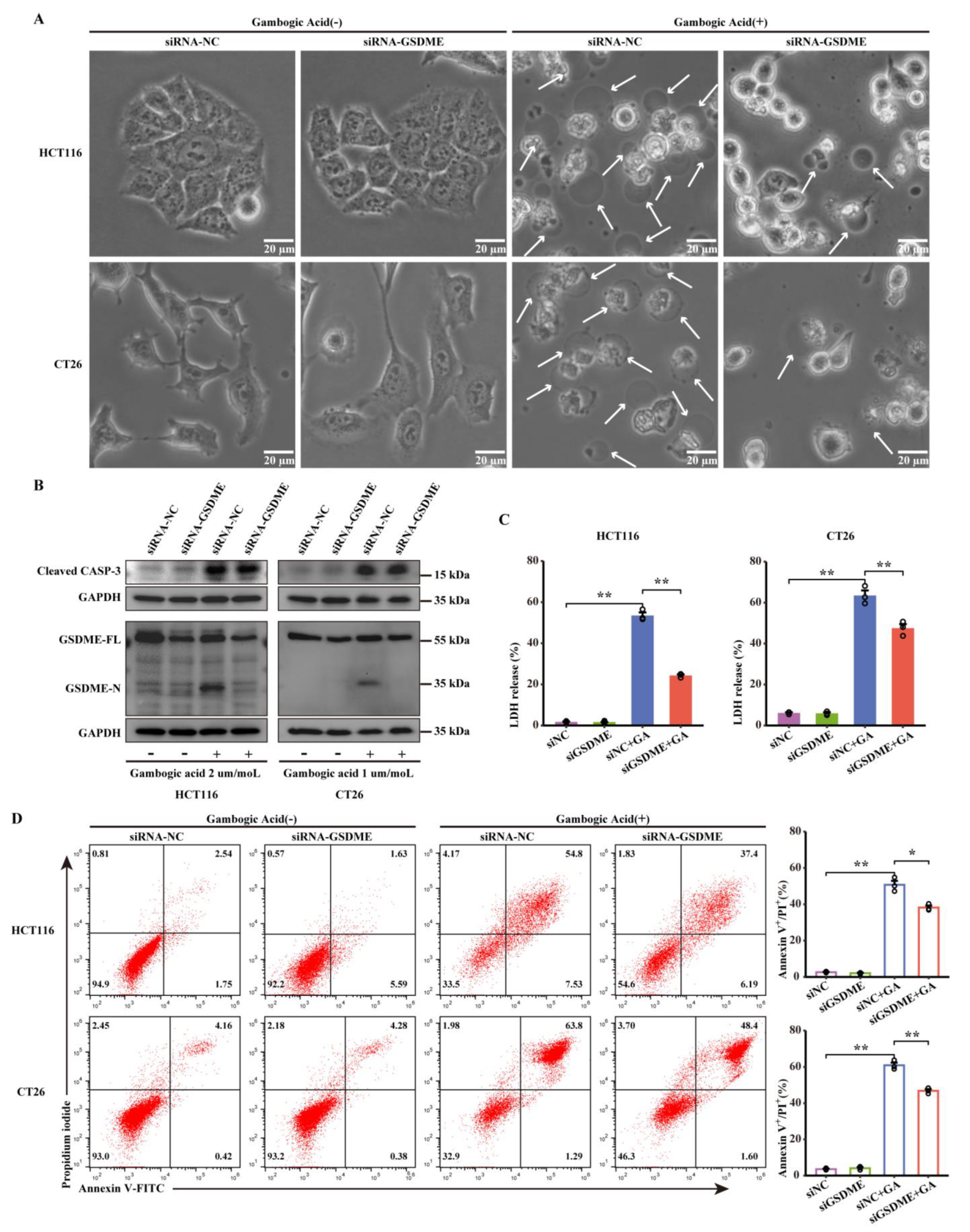 Cancers 14 05505 g005