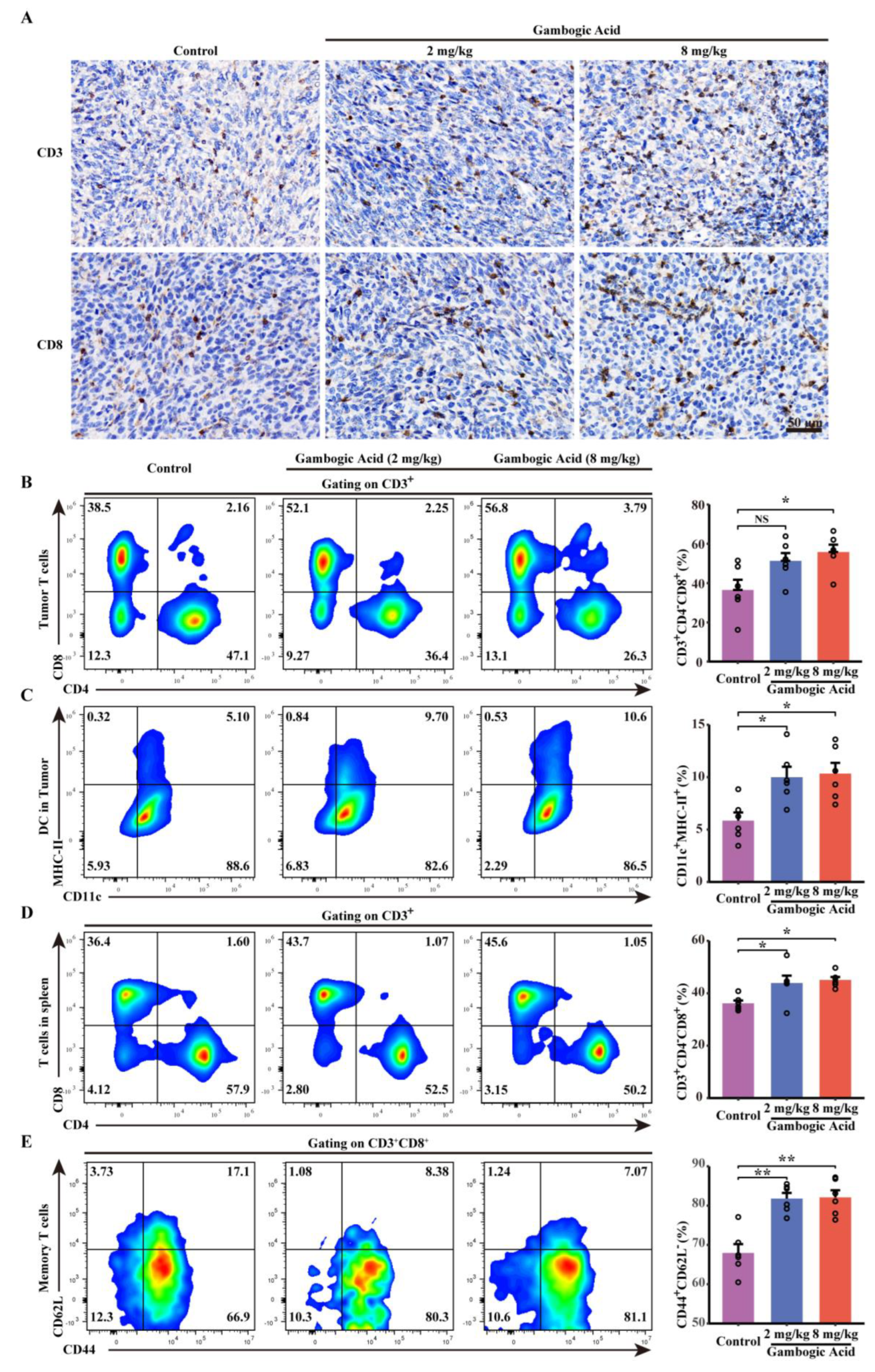 Cancers 14 05505 g008