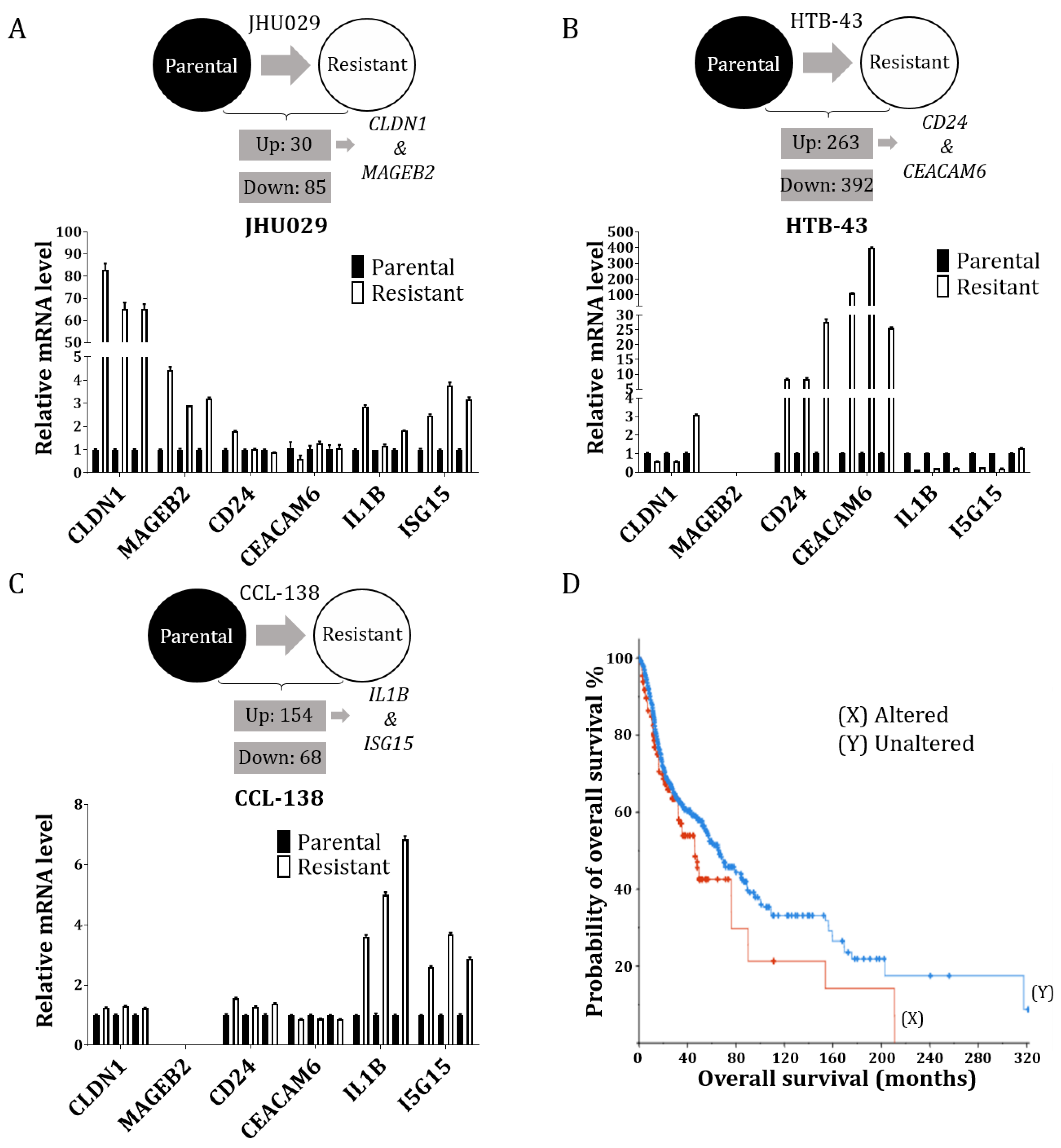 Cancers 14 05511 g001 Cancers 14 05511 g001