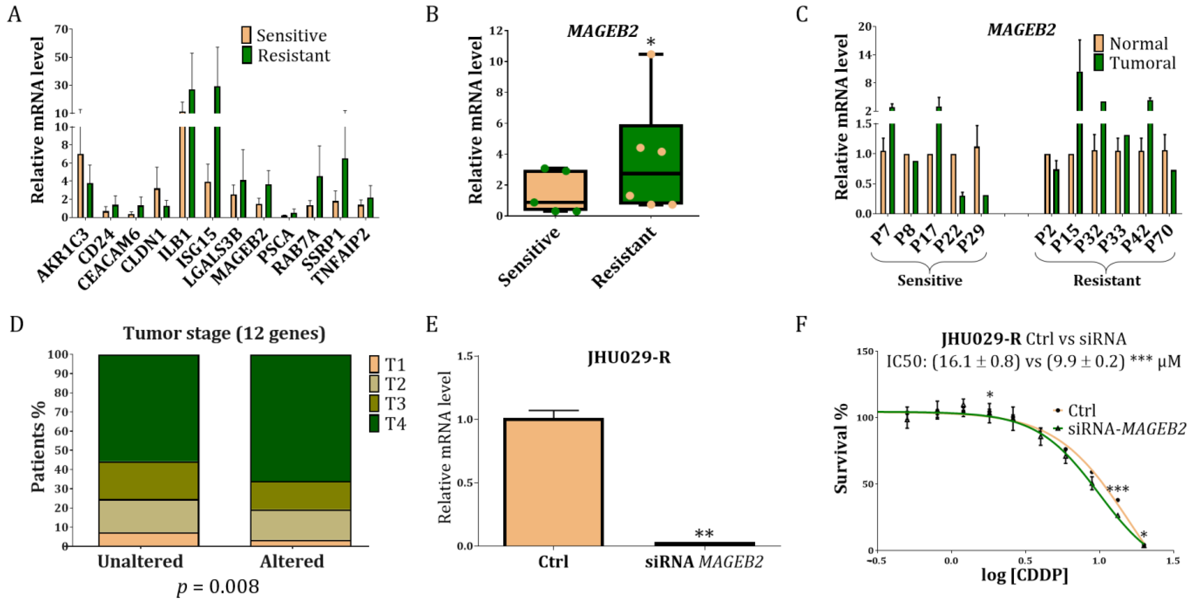 Cancers 14 05511 g003 Cancers 14 05511 g003