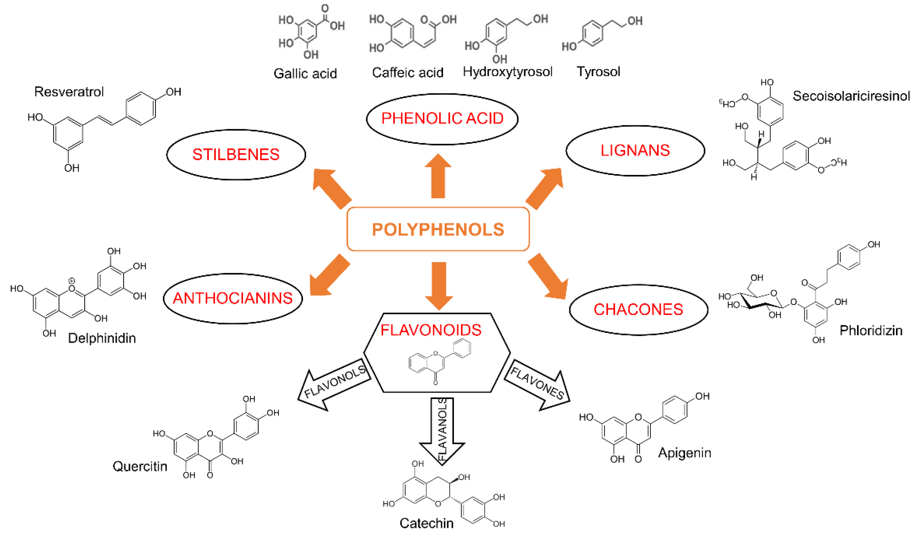 Cancers 14 05517 g001
