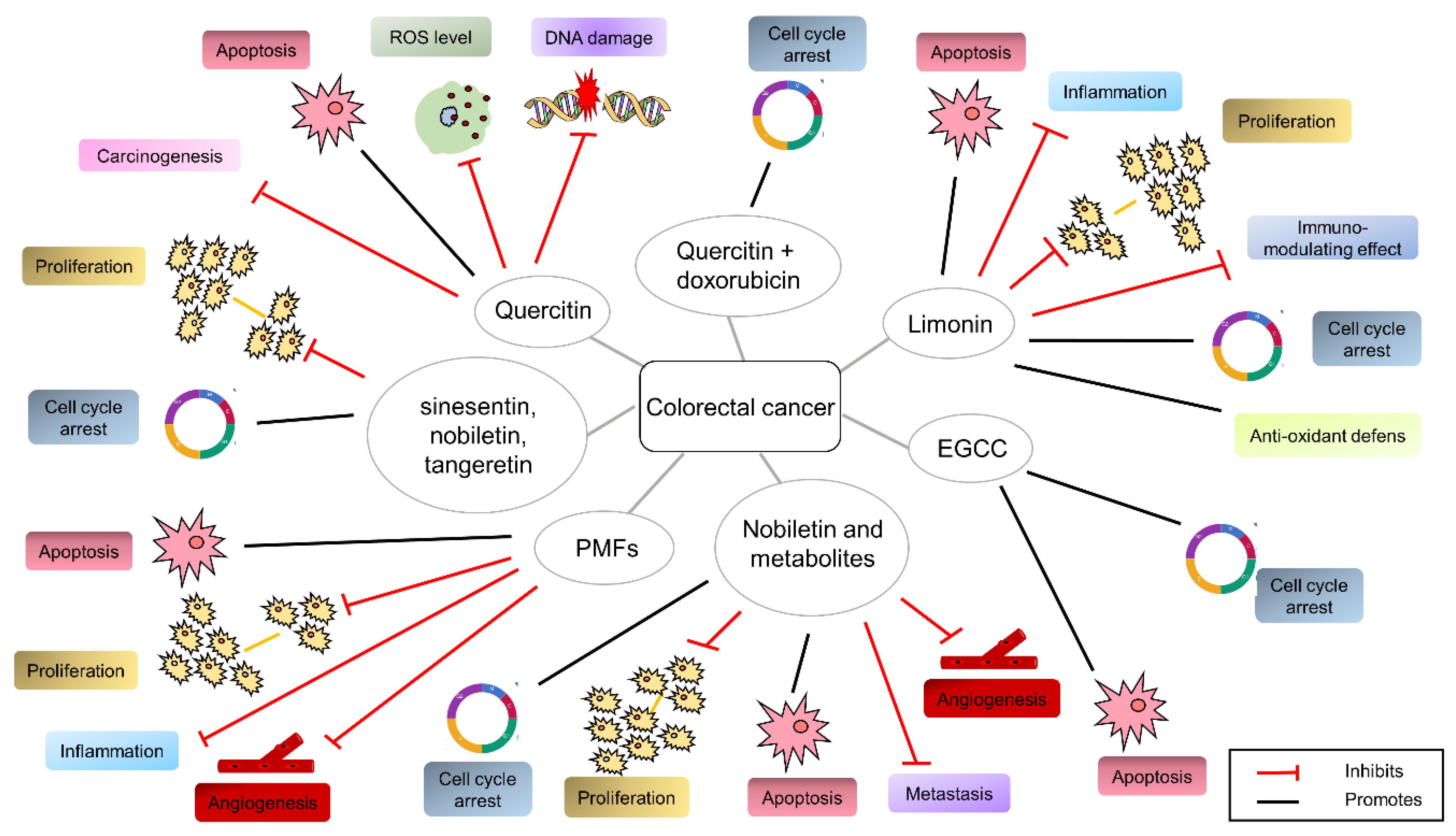 Cancers 14 05517 g005
