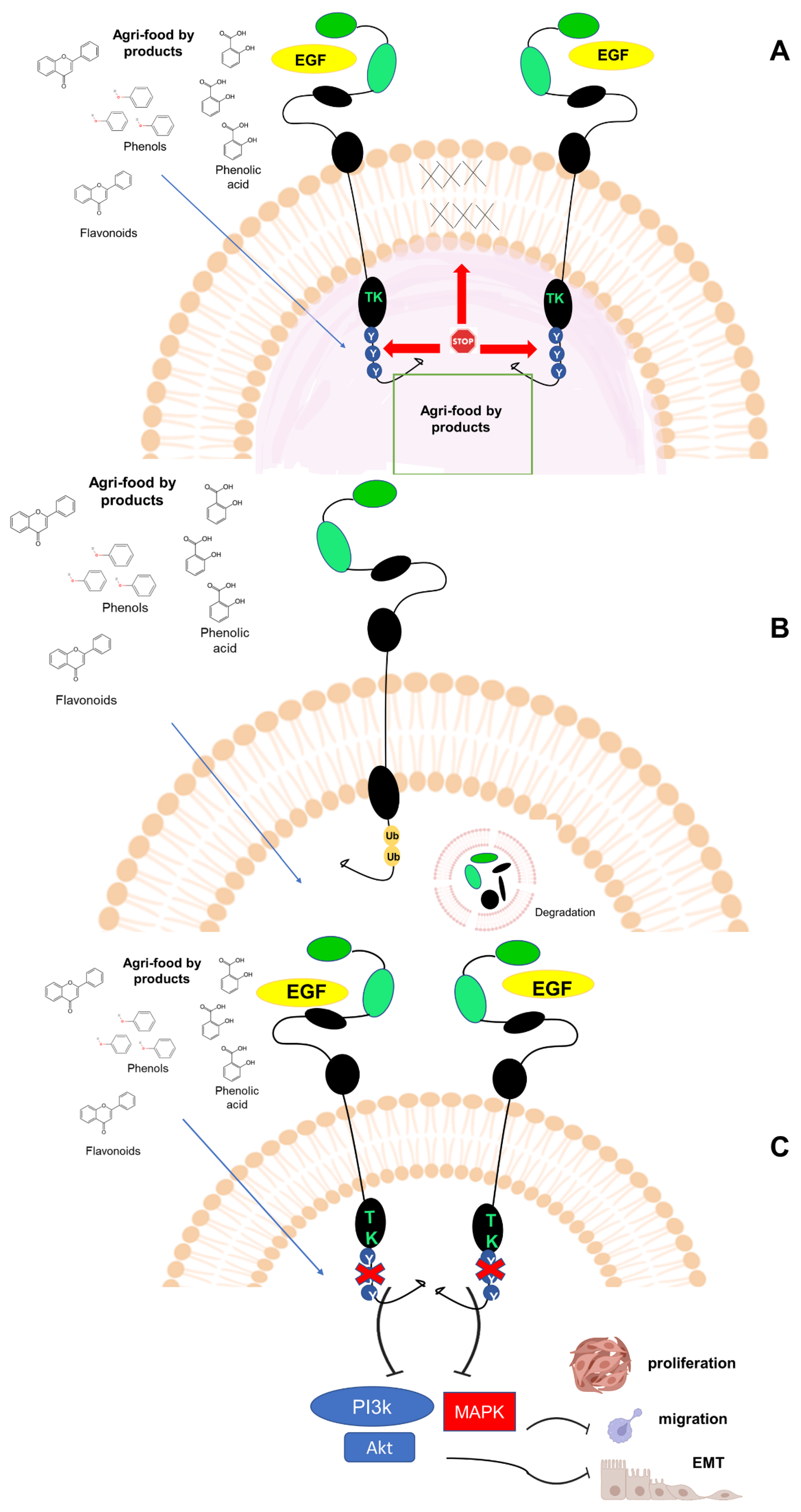 Cancers 14 05517 g006
