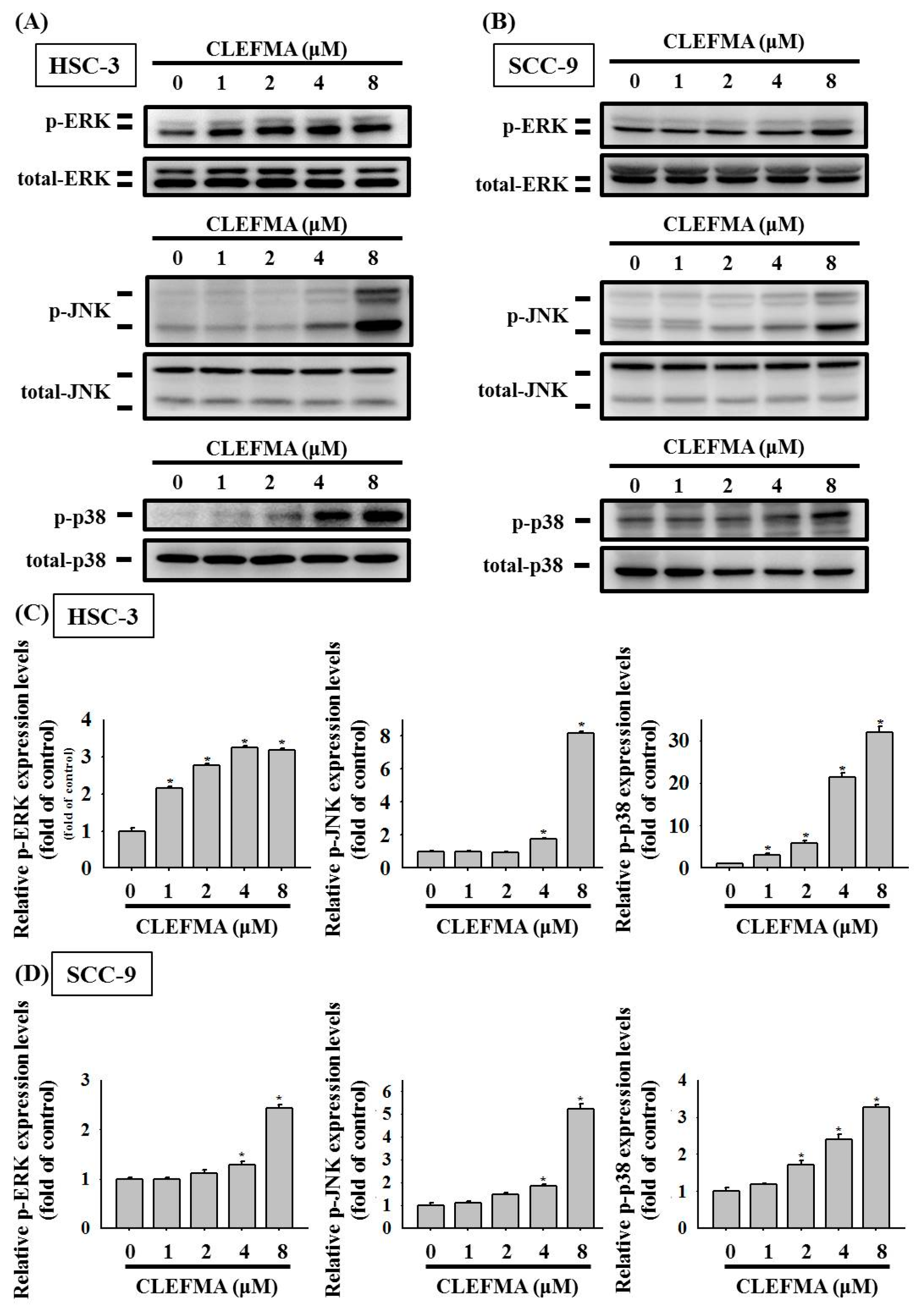 Cancers 14 05519 g006