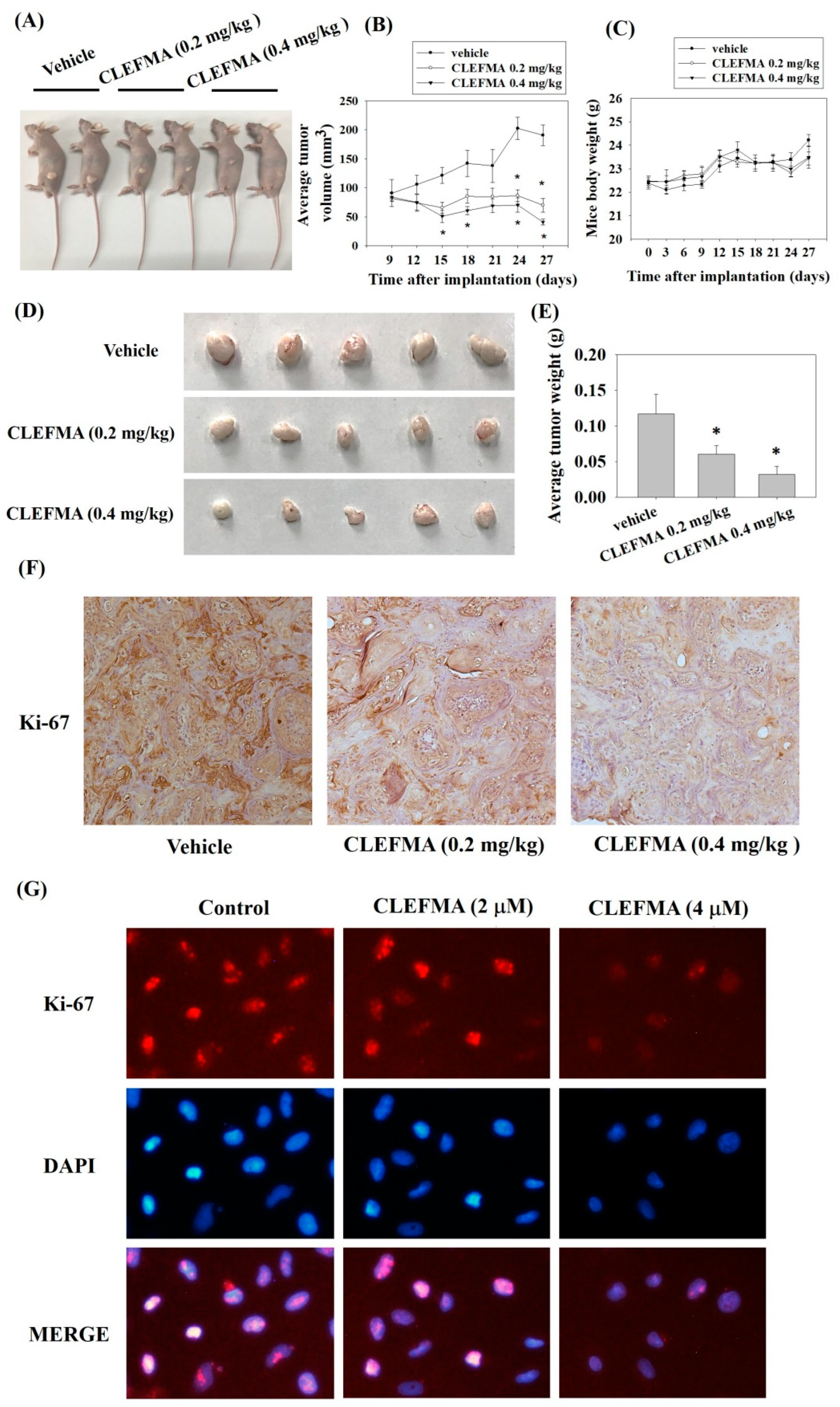 Cancers 14 05519 g009