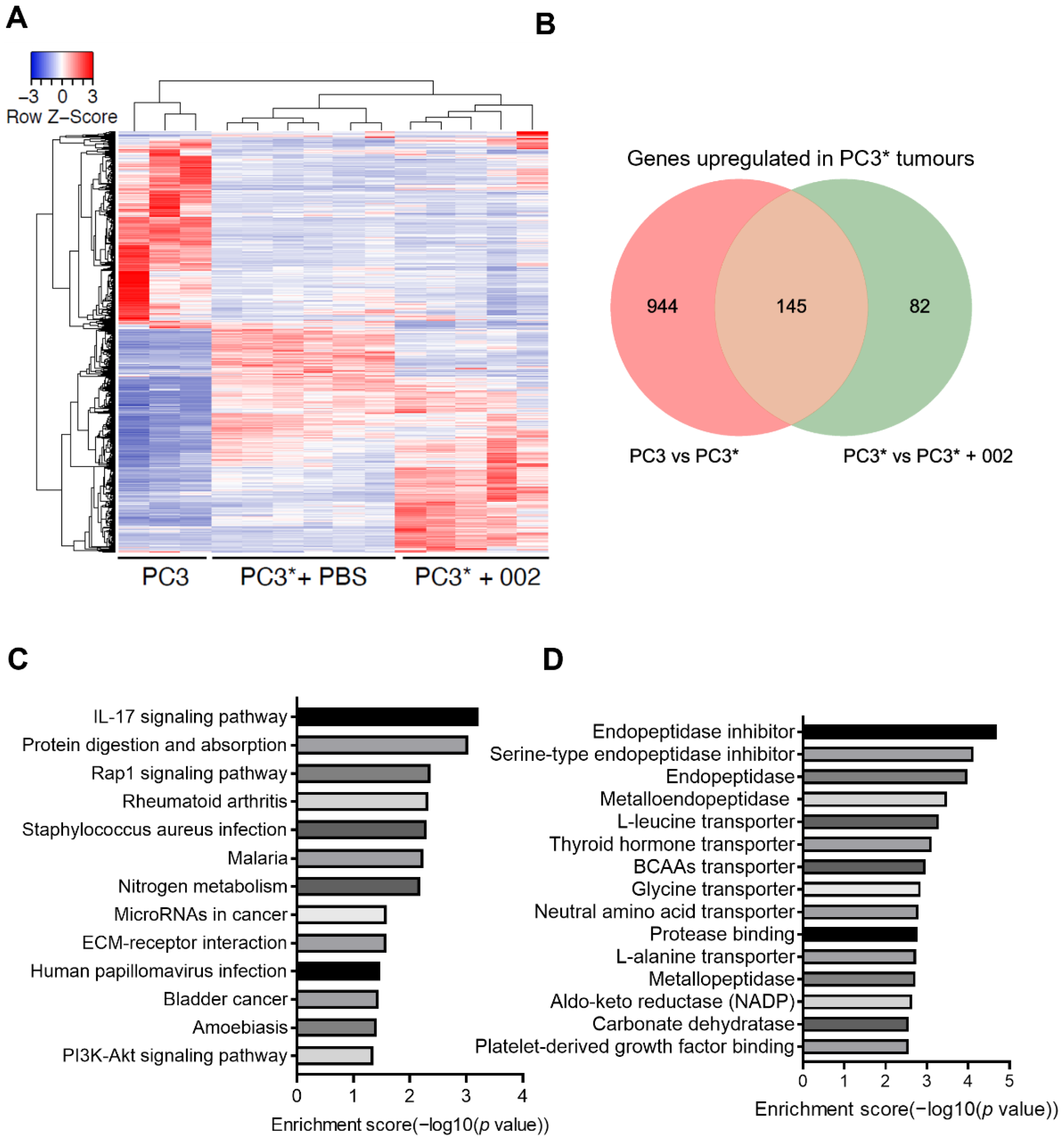 Cancers 14 05533 g002 Cancers 14 05533 g002