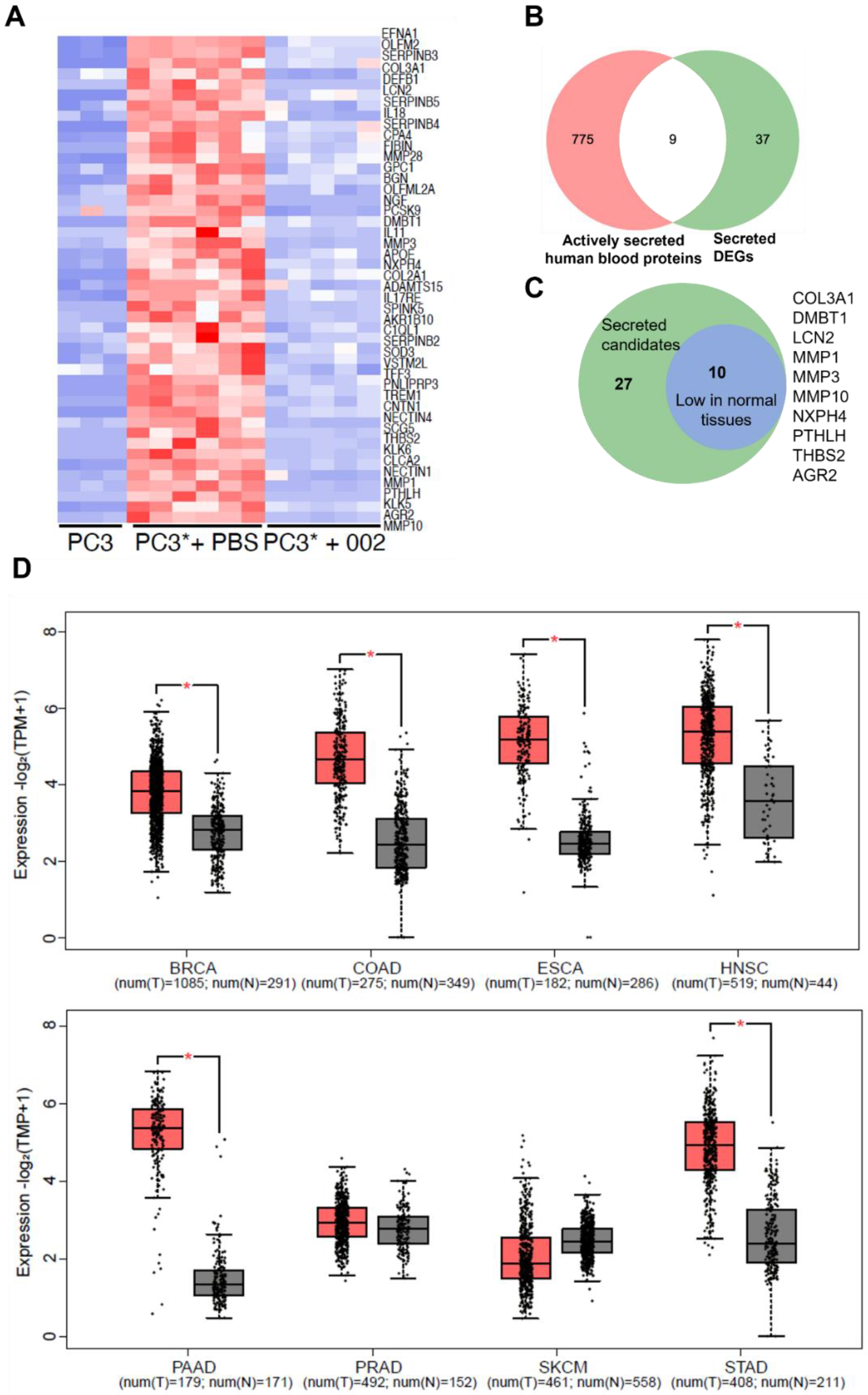 Cancers 14 05533 g003 Cancers 14 05533 g003