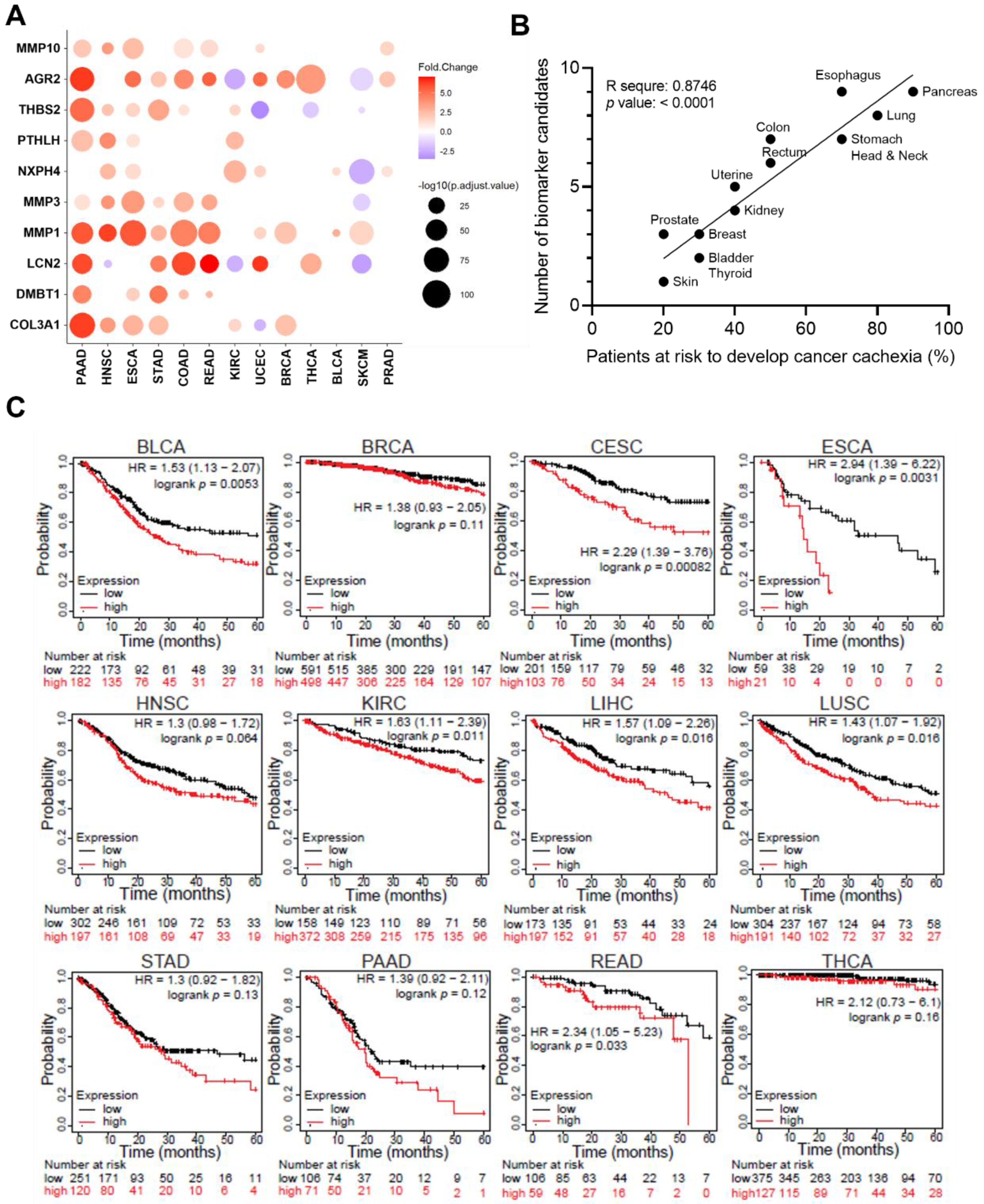 Cancers 14 05533 g004 Cancers 14 05533 g004