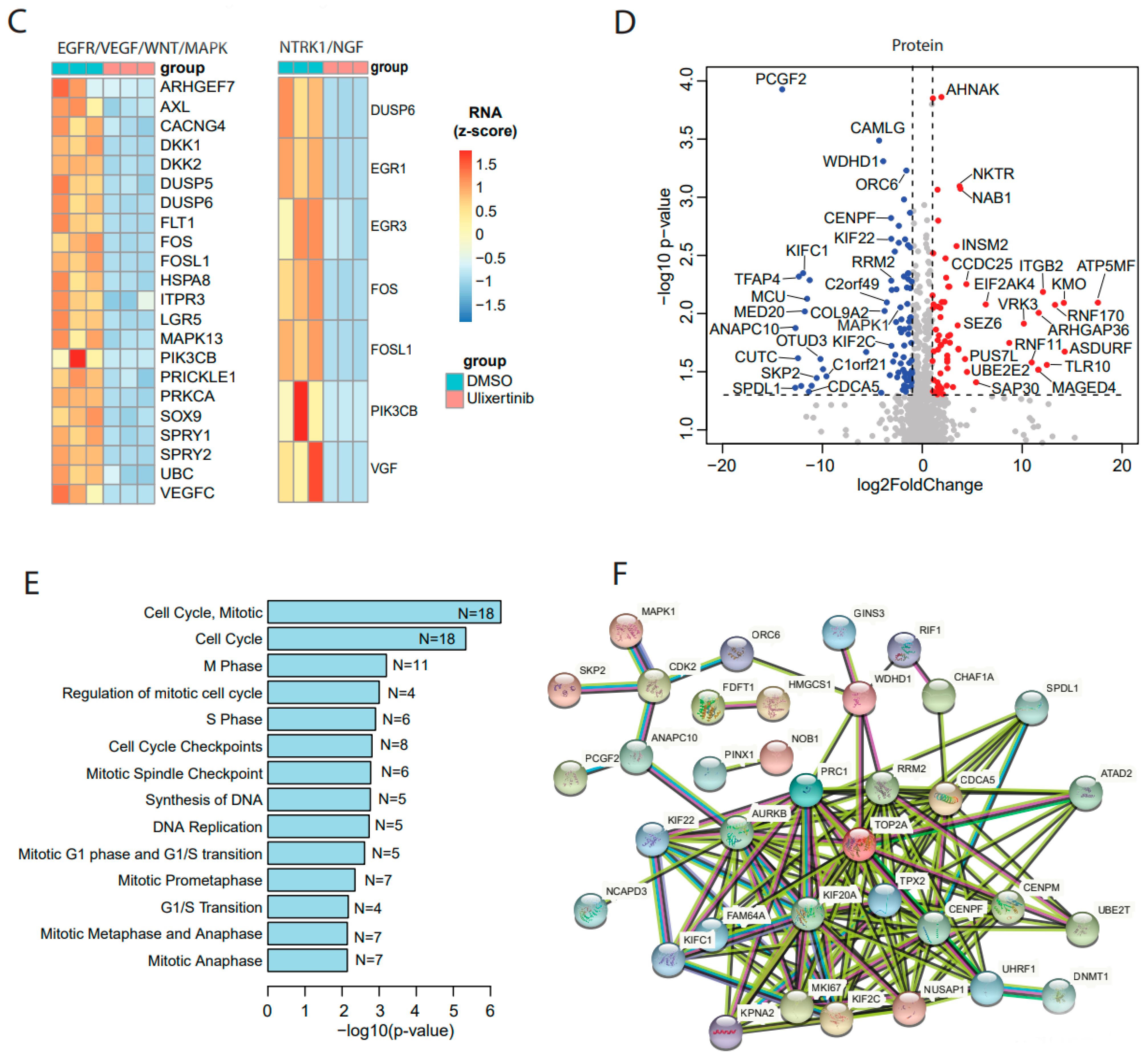 Cancers 14 05534 g003b Cancers 14 05534 g003b
