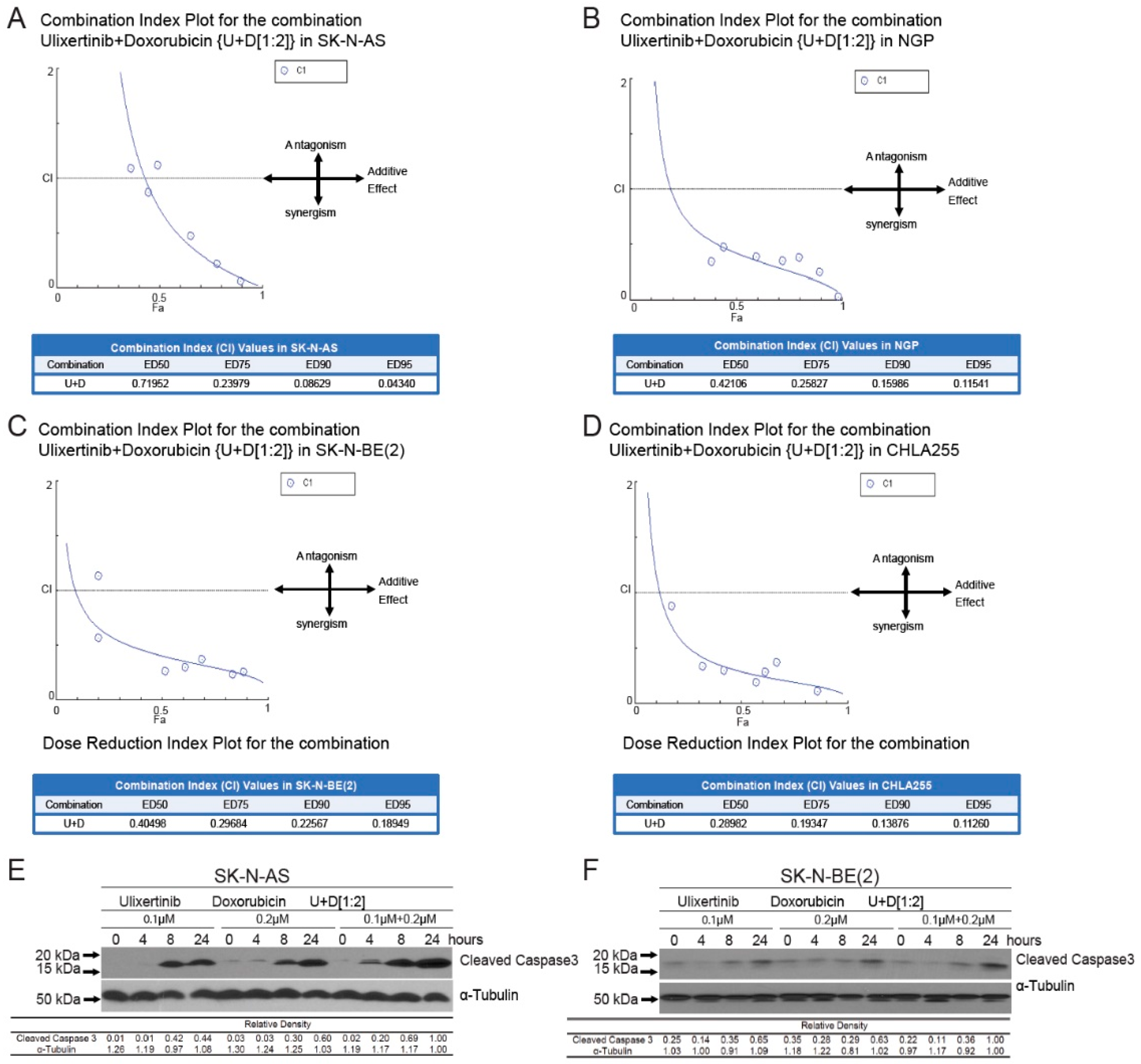 Cancers 14 05534 g004 Cancers 14 05534 g004