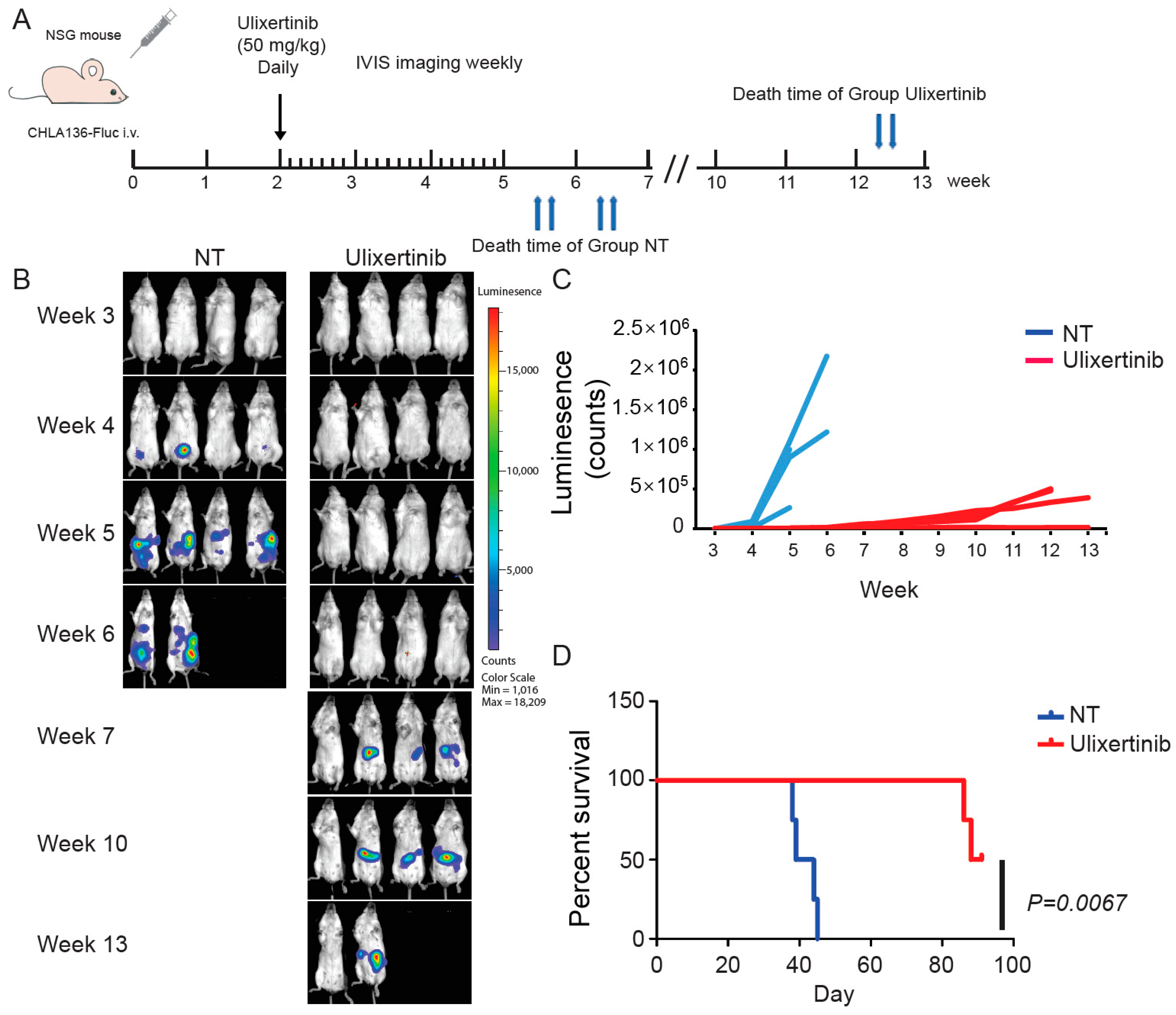 Cancers 14 05534 g005 Cancers 14 05534 g005