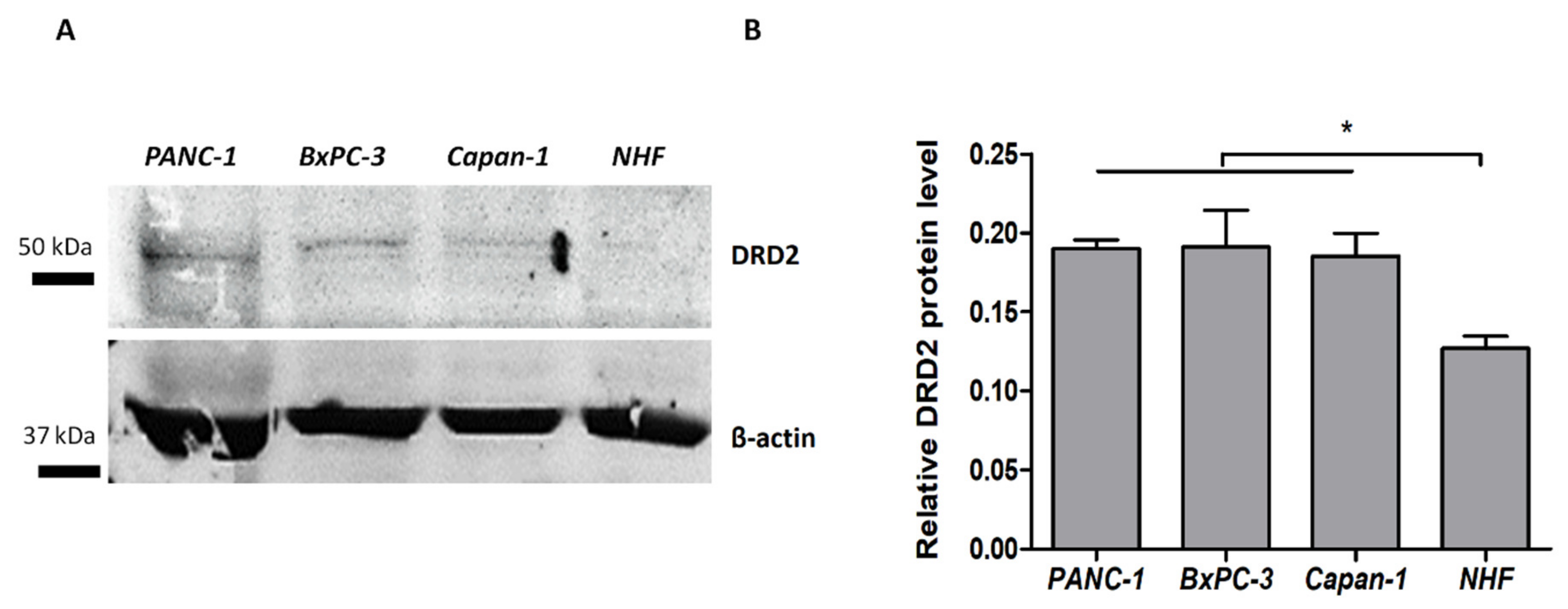 Cancers 14 05535 g003 Cancers 14 05535 g003