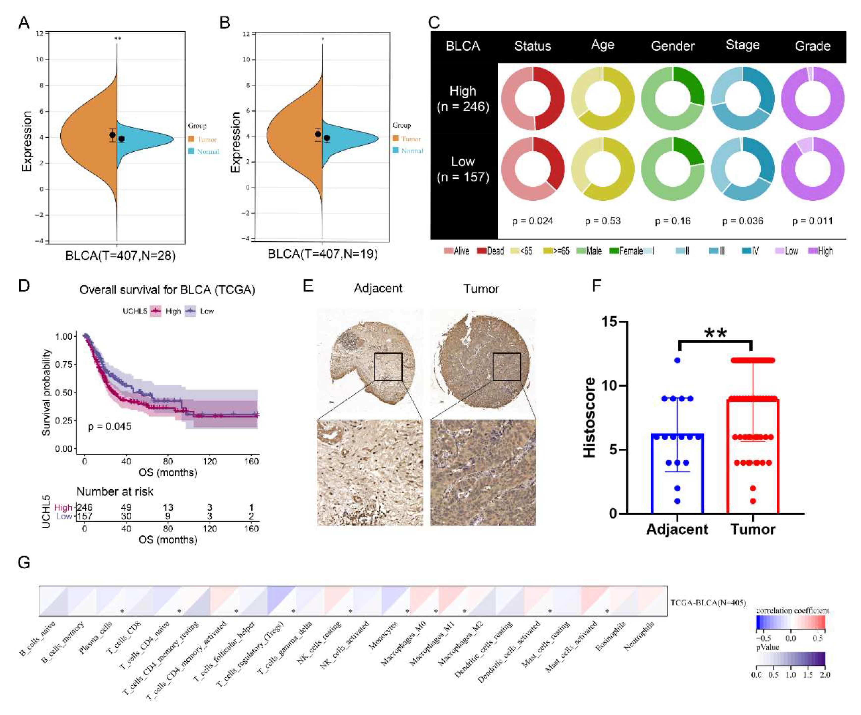 Cancers 14 05538 g001 Cancers 14 05538 g001