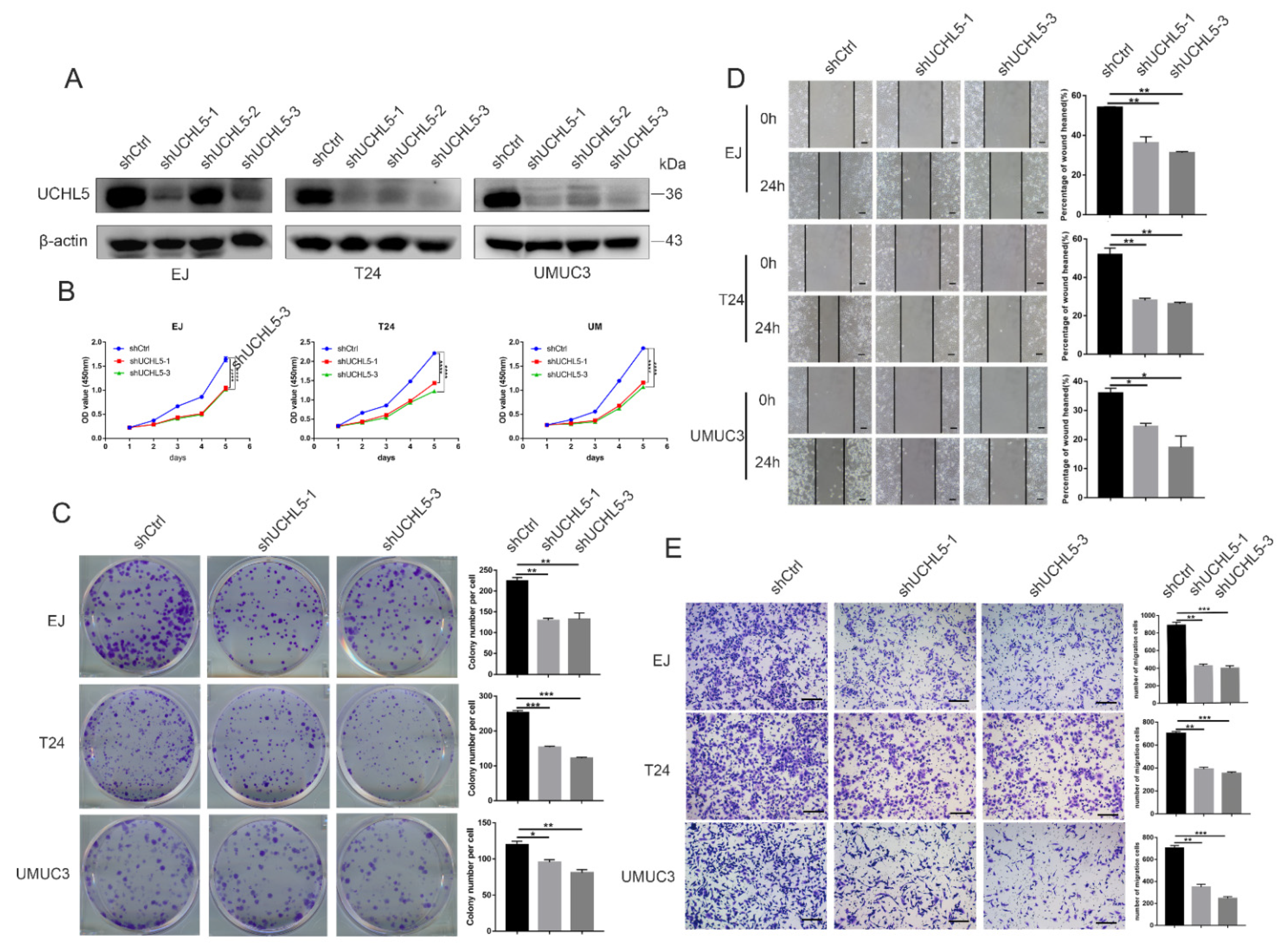 Cancers 14 05538 g002 Cancers 14 05538 g002