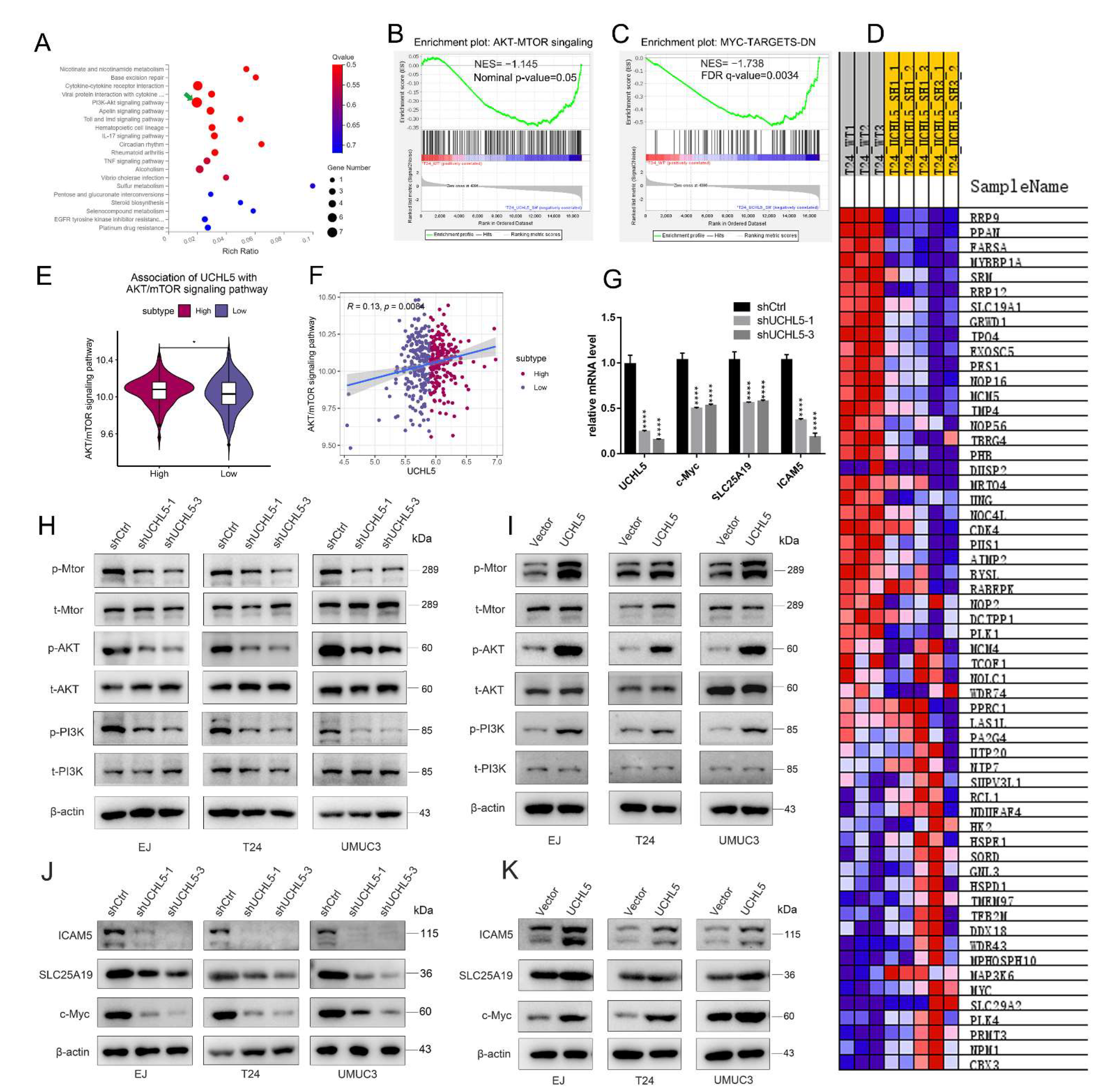 Cancers 14 05538 g004 Cancers 14 05538 g004