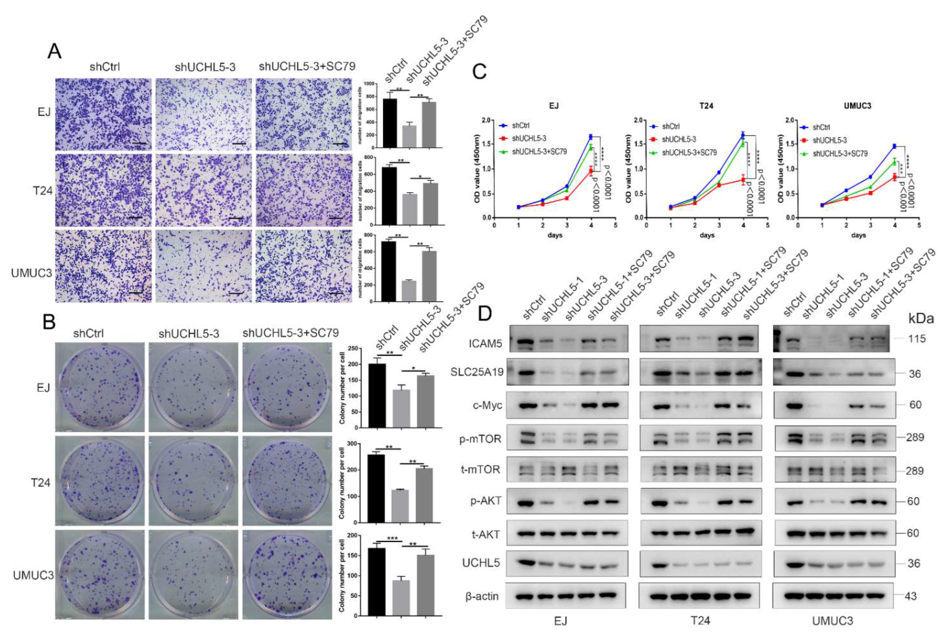 Cancers 14 05538 g005 Cancers 14 05538 g005