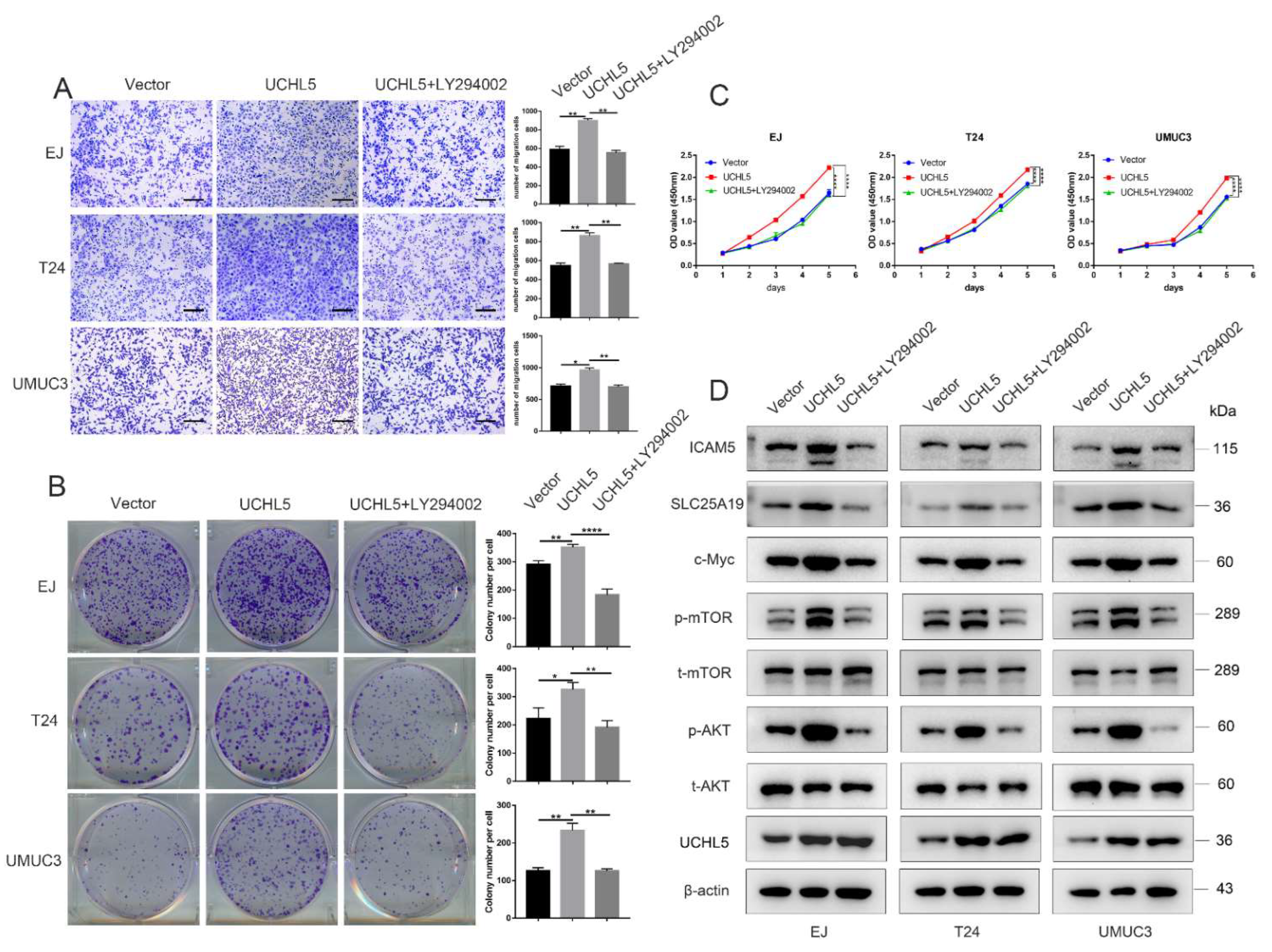 Cancers 14 05538 g006 Cancers 14 05538 g006