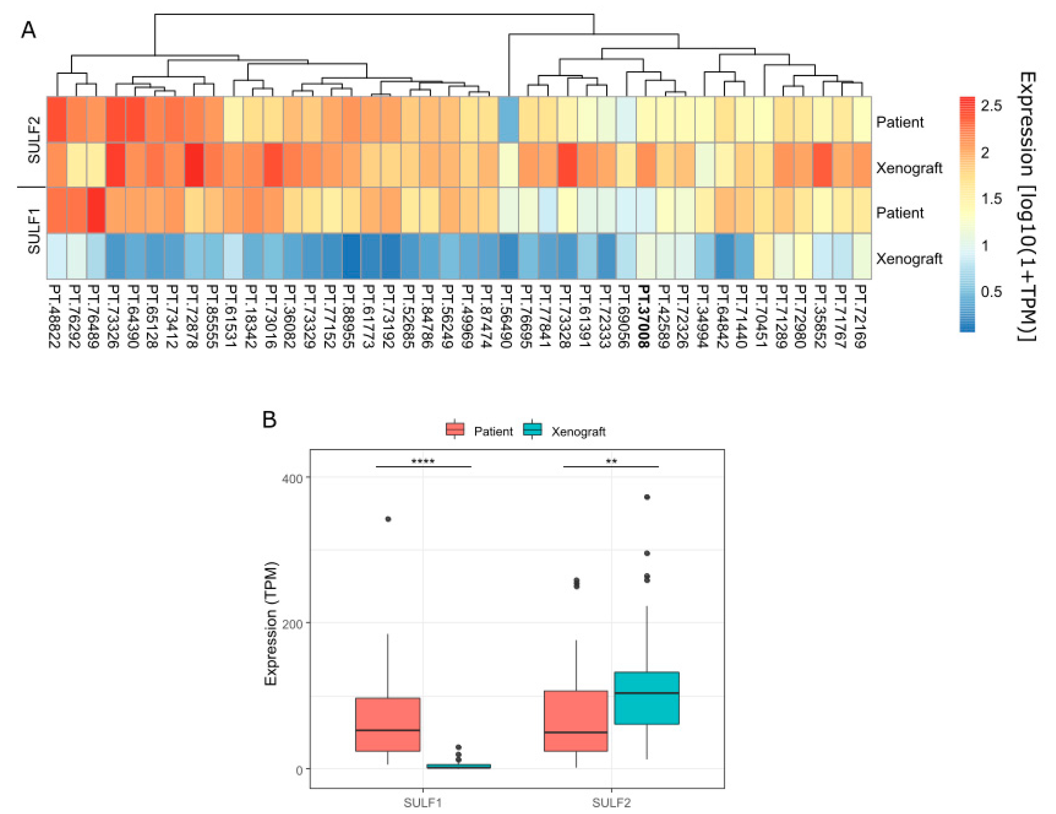 Cancers 14 05553 g005