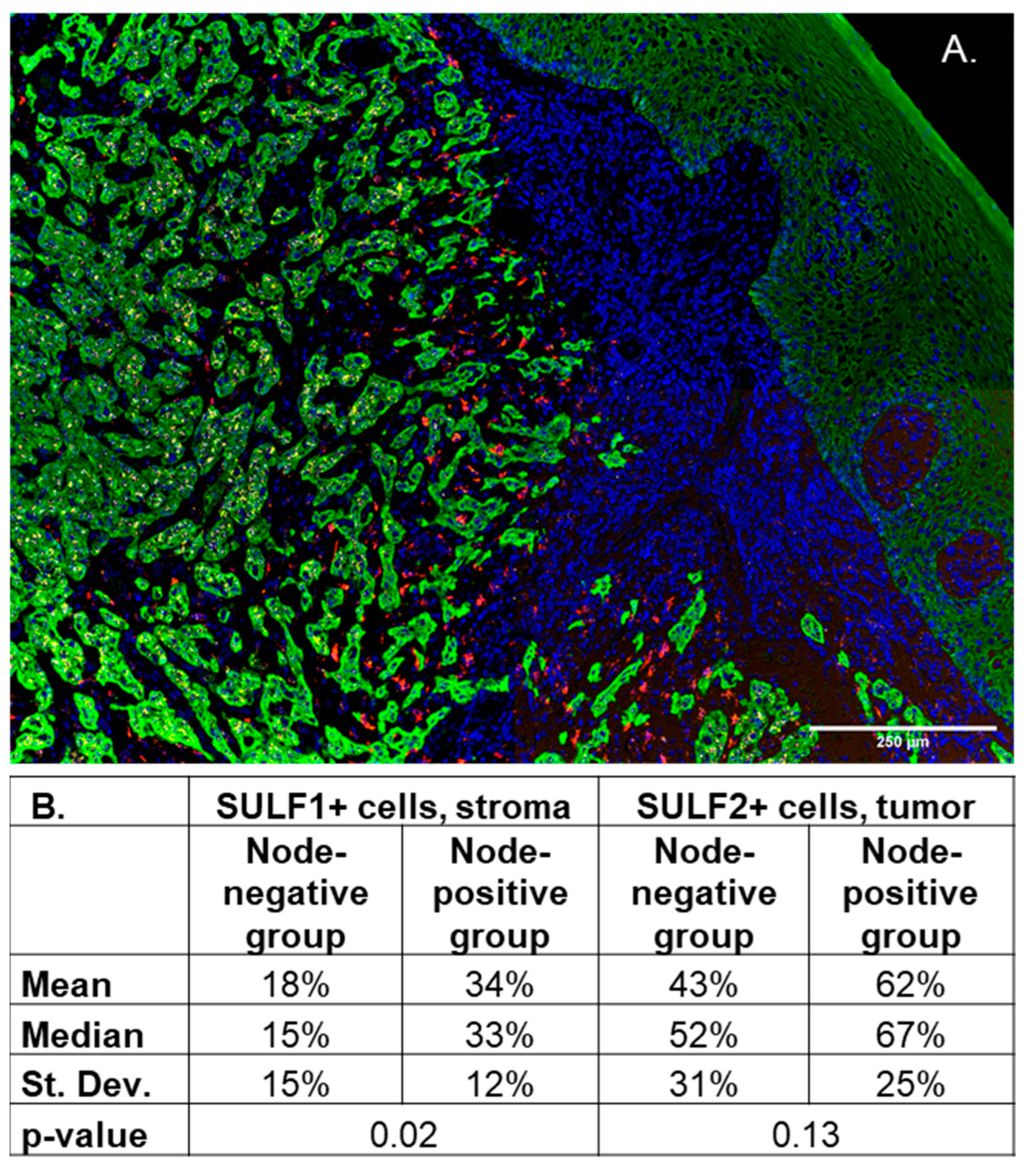Cancers 14 05553 g006